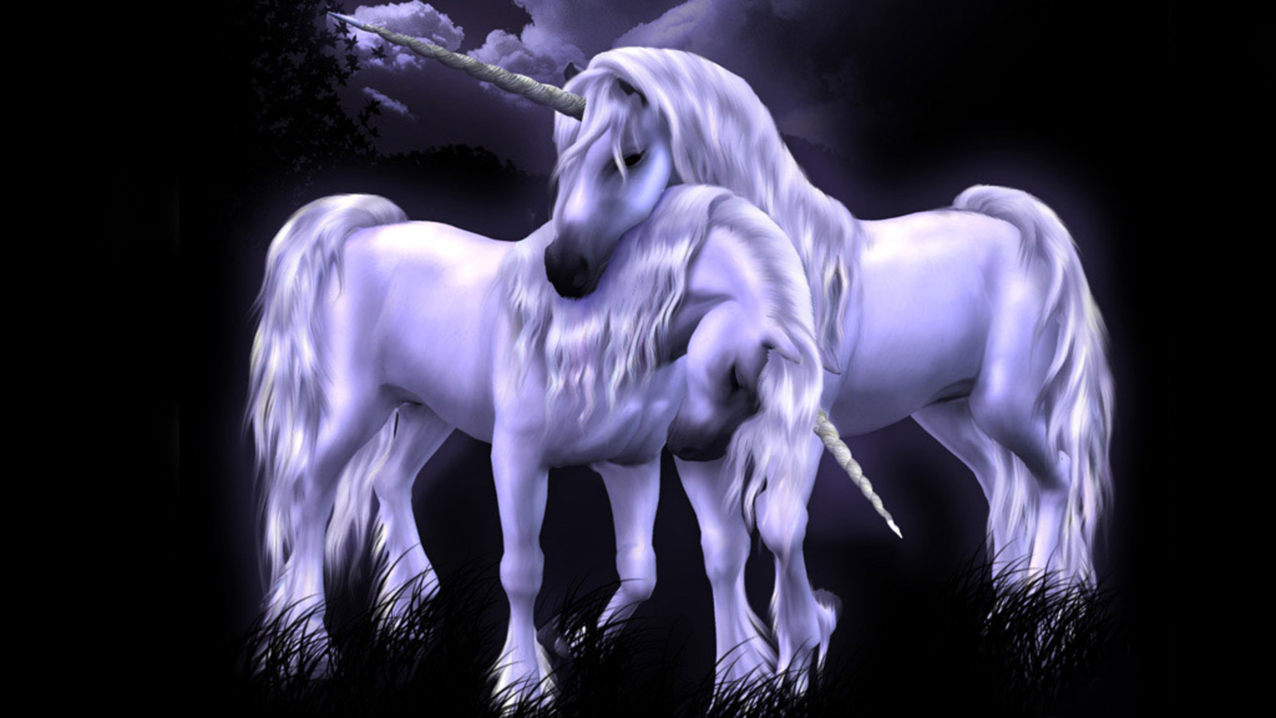 White Horse With Wings Illustration. Wallpaper in 2560x1440 Resolution