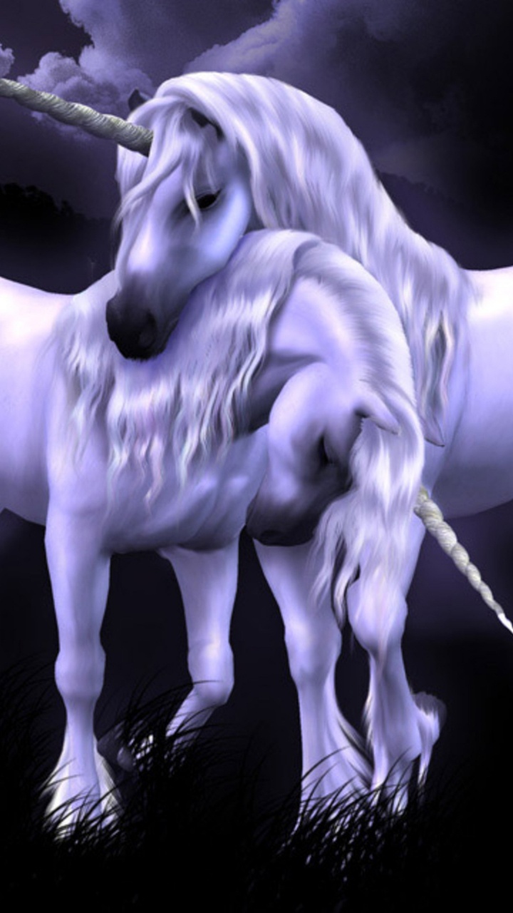 White Horse With Wings Illustration. Wallpaper in 720x1280 Resolution