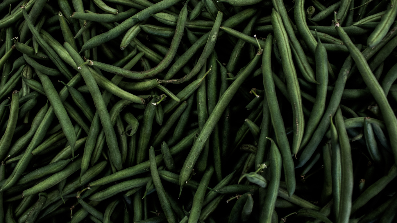 Green Chili Lot on Blue Textile. Wallpaper in 1366x768 Resolution