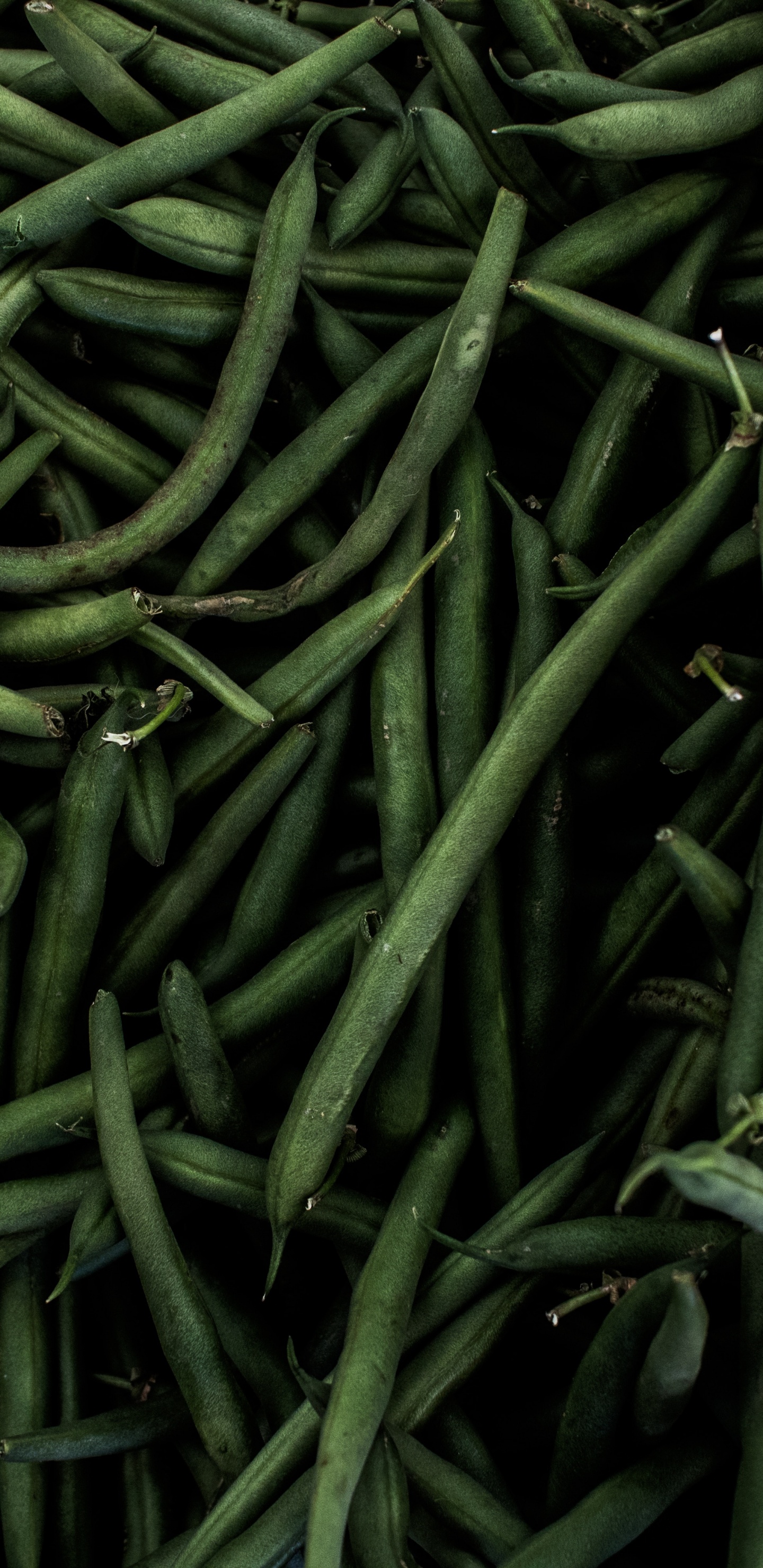 Green Chili Lot on Blue Textile. Wallpaper in 1440x2960 Resolution