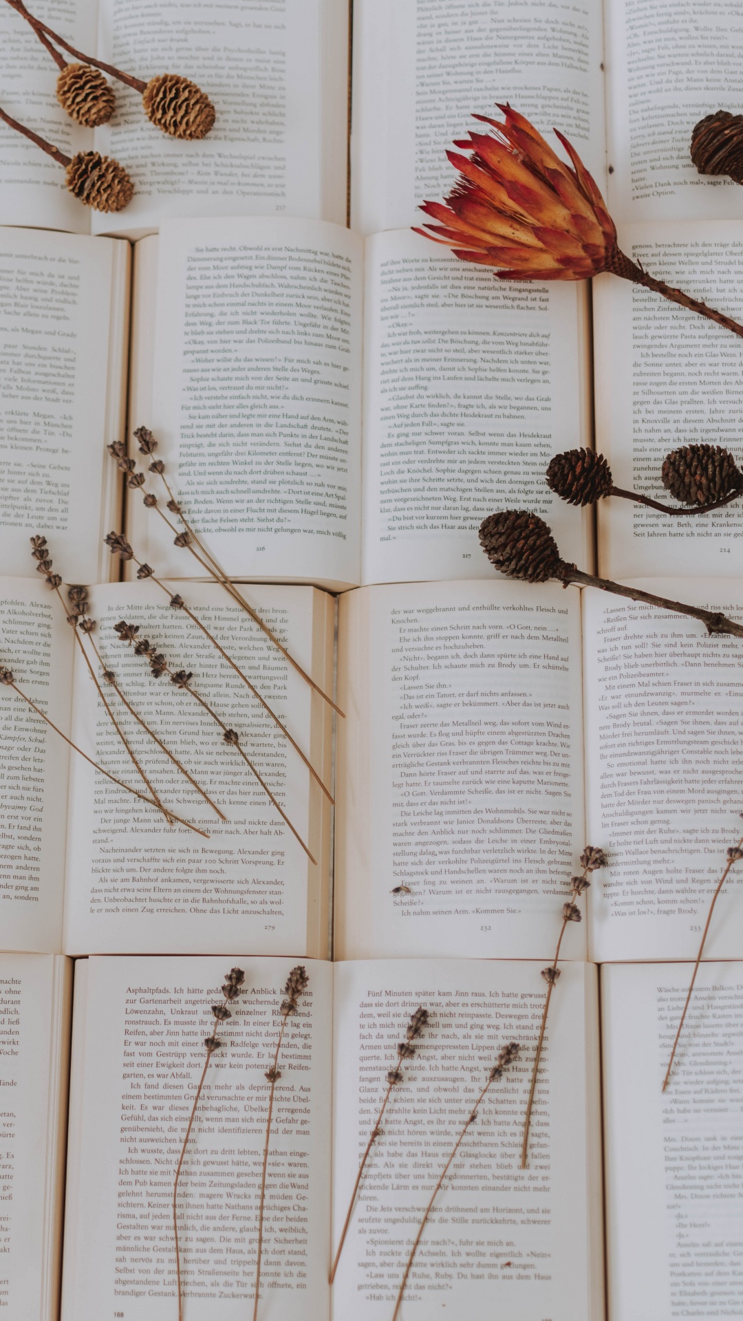 Brown Pine Cones on Book Page. Wallpaper in 1080x1920 Resolution