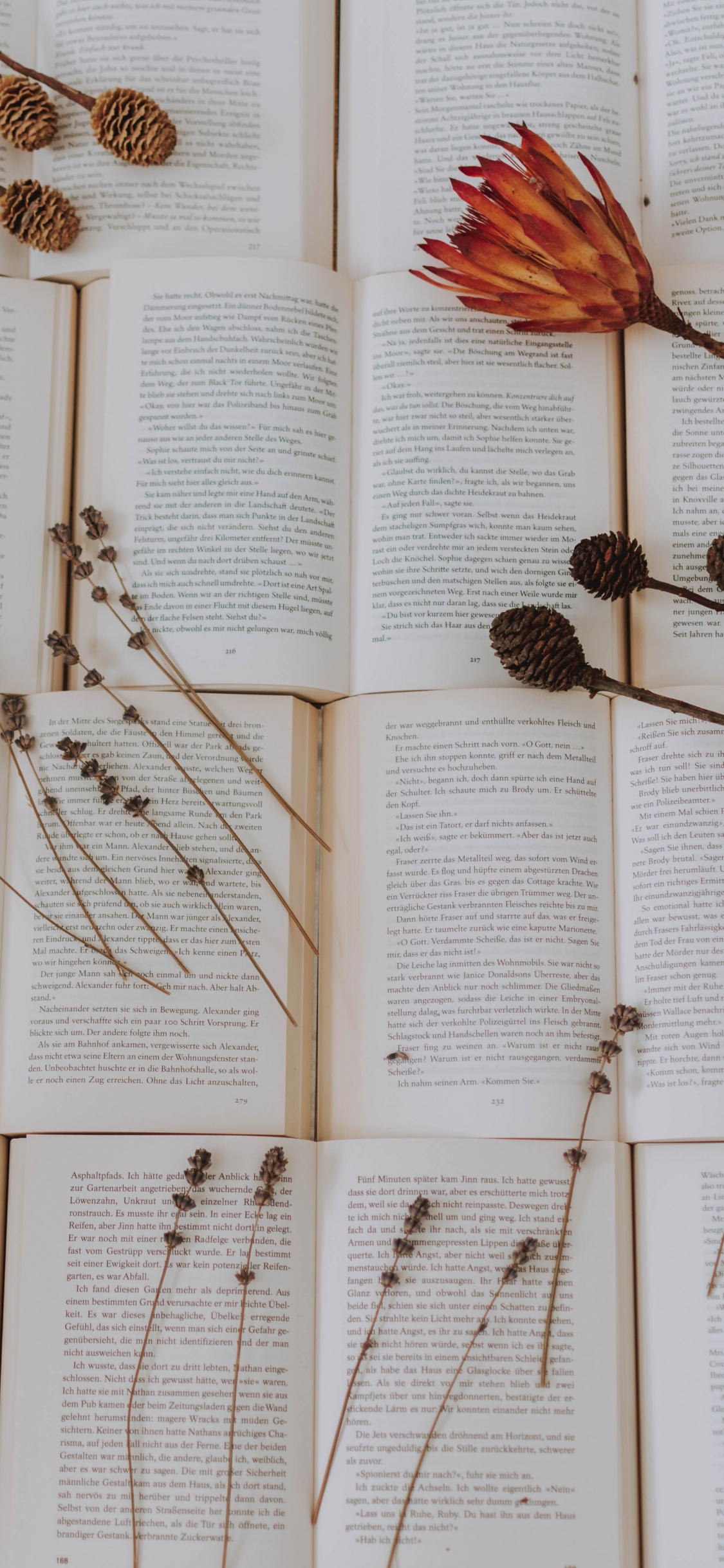 Brown Pine Cones on Book Page. Wallpaper in 1125x2436 Resolution