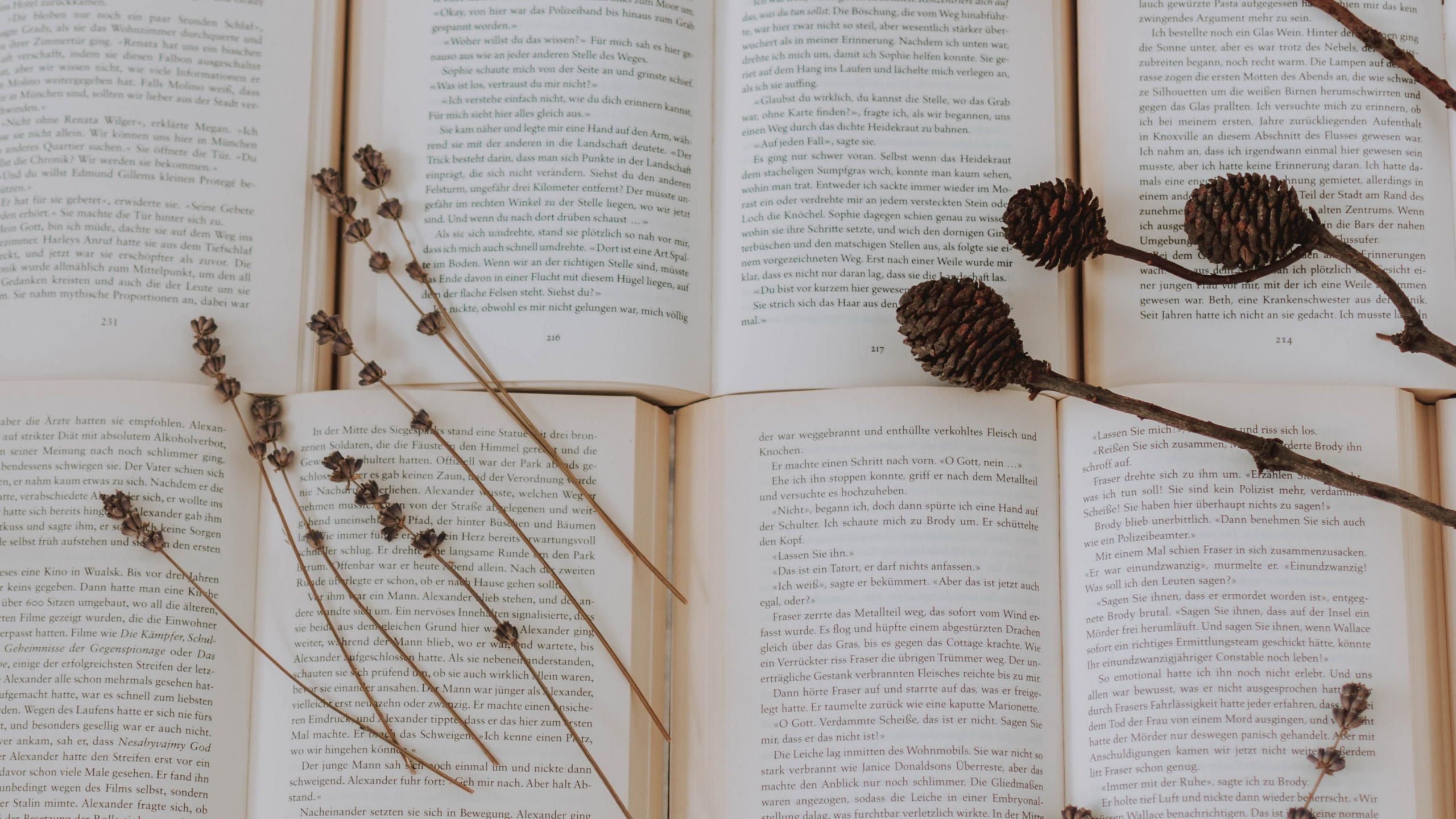 Brown Pine Cones on Book Page. Wallpaper in 2560x1440 Resolution