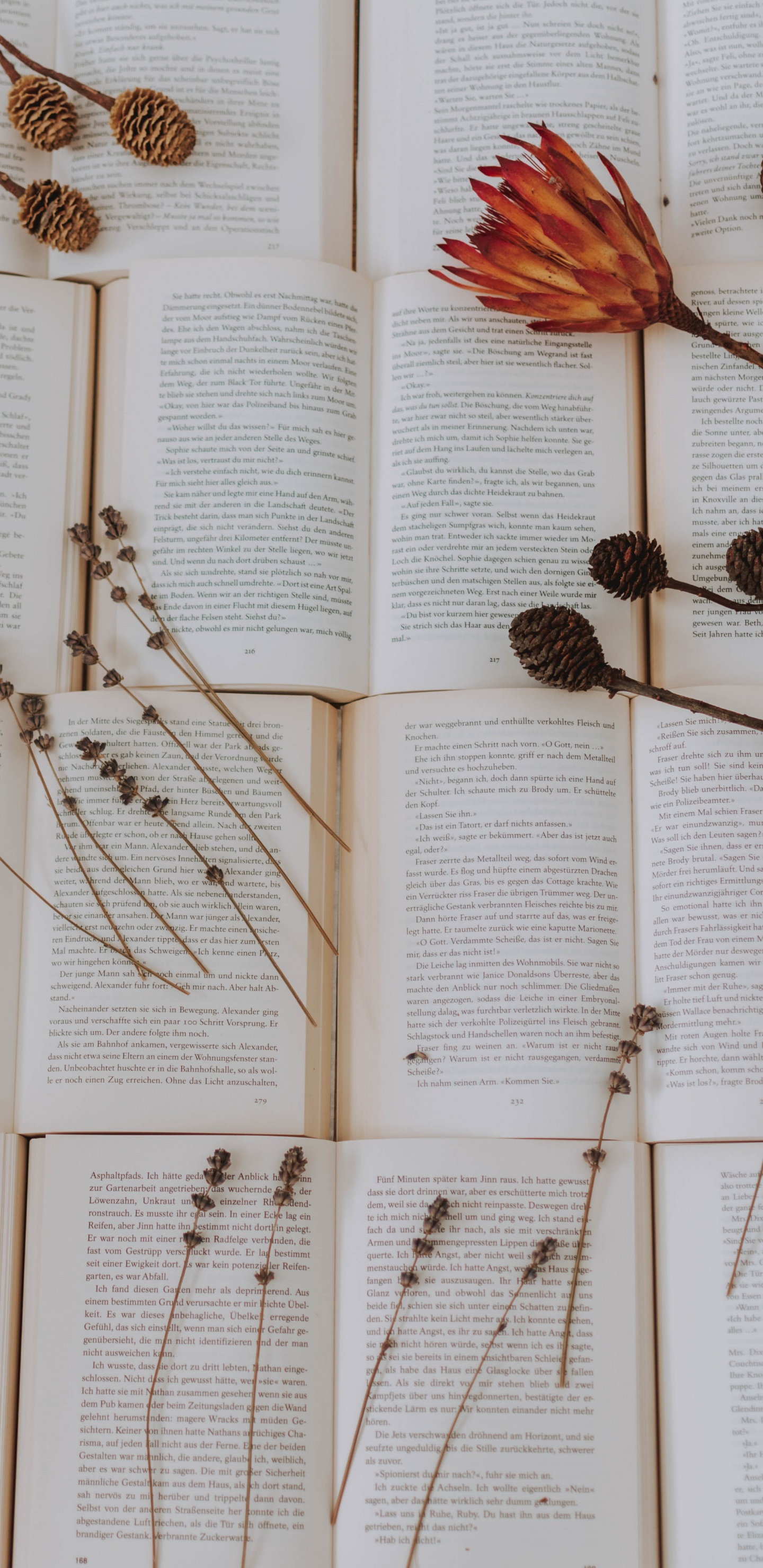 Pommes de Pin Brunes Sur la Page du Livre. Wallpaper in 1440x2960 Resolution