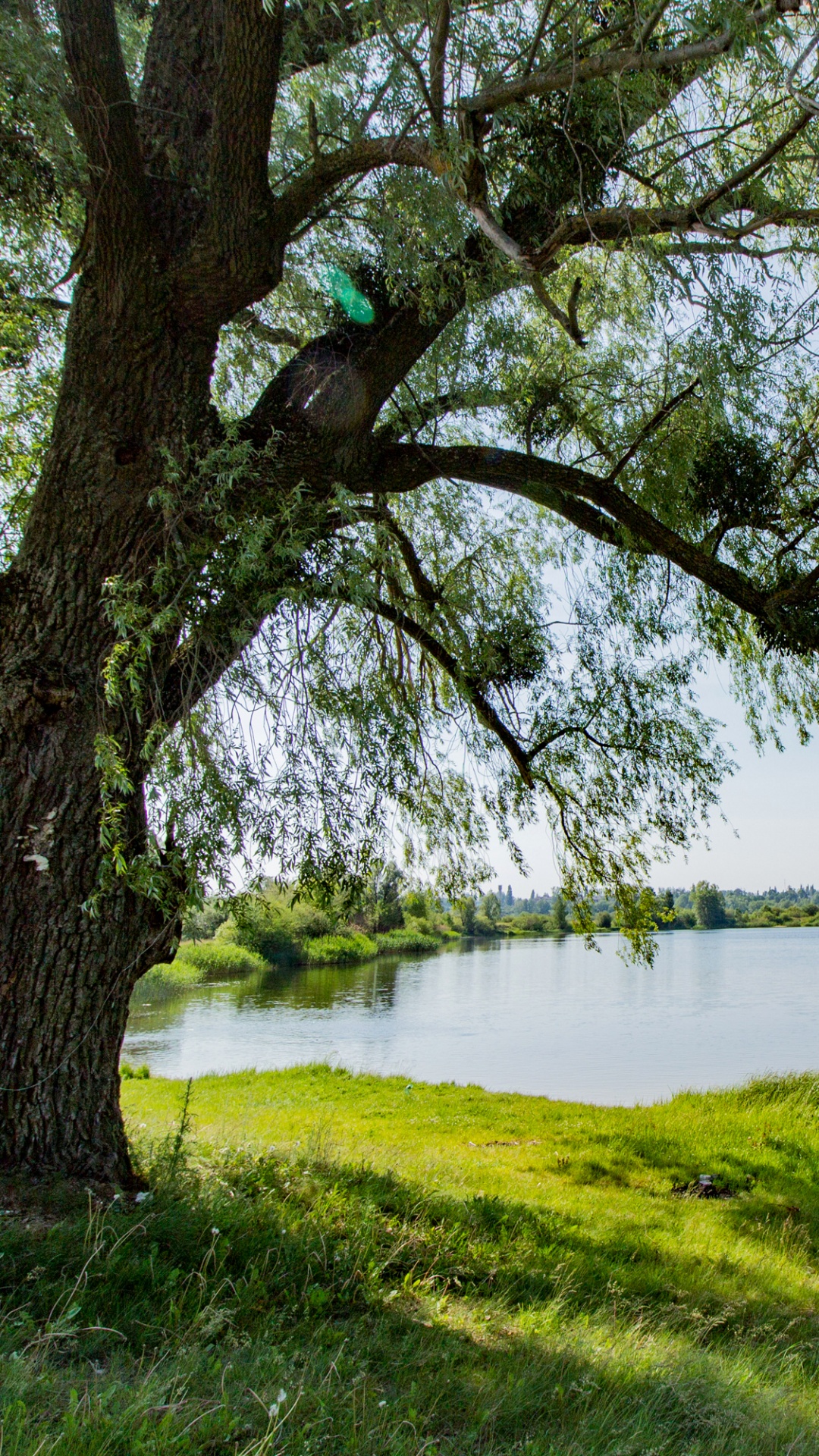 Green Grass Field Near Body of Water During Daytime. Wallpaper in 1080x1920 Resolution