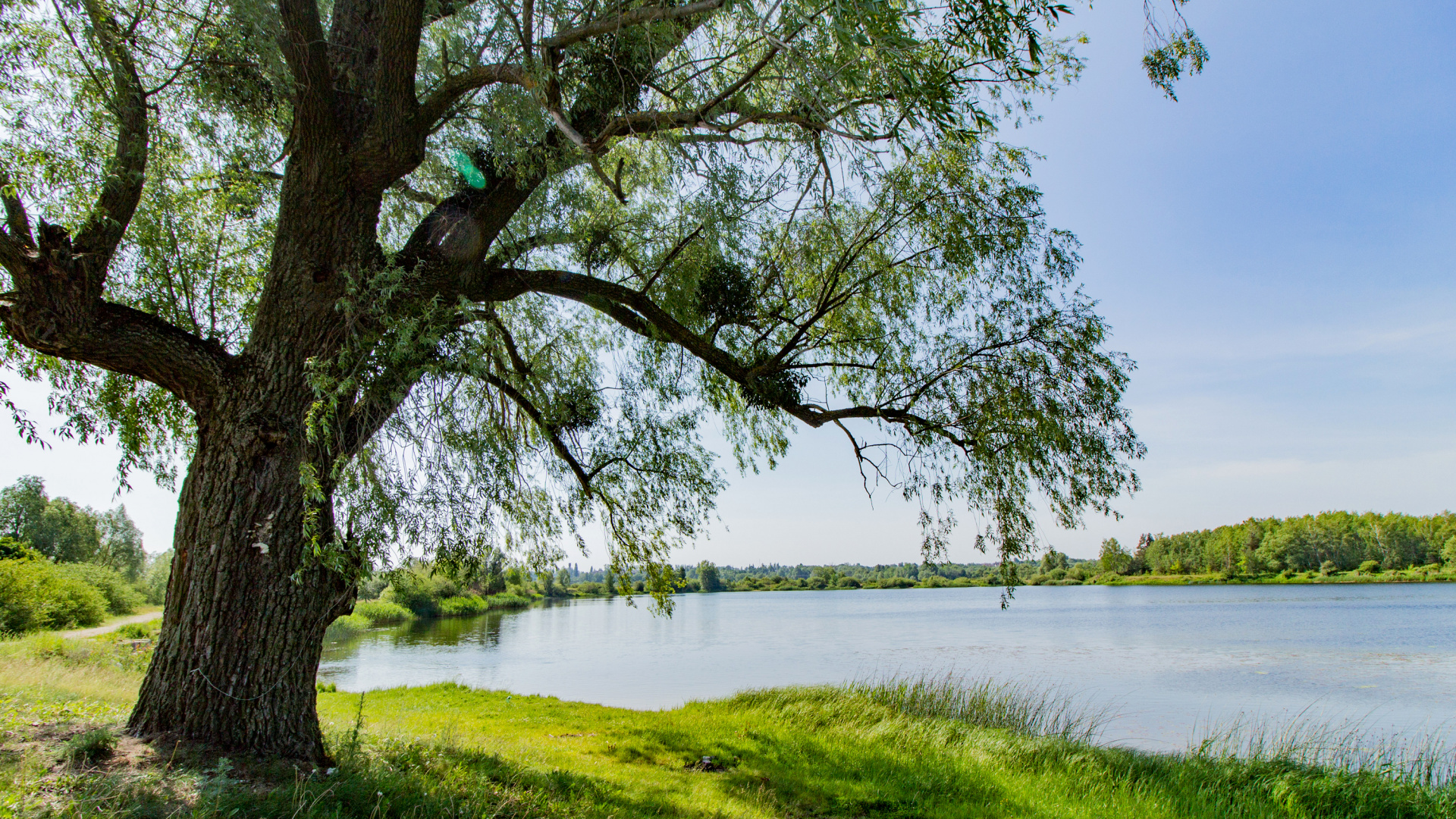 Green Grass Field Near Body of Water During Daytime. Wallpaper in 1920x1080 Resolution