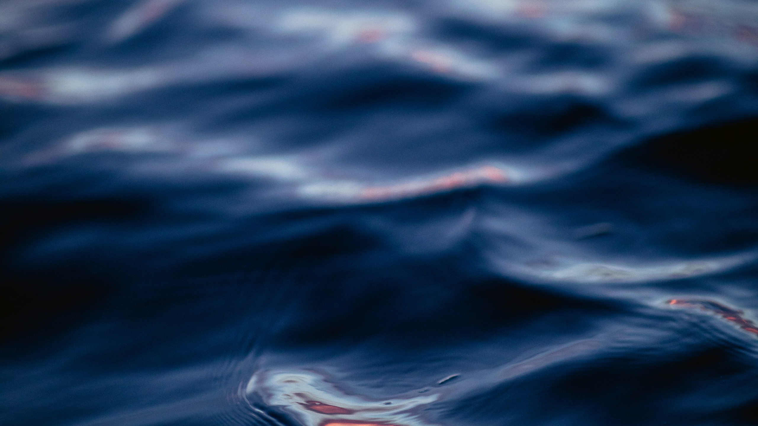 气氛, 大海, 冷静, 风波, 智能手机 壁纸 2560x1440 允许