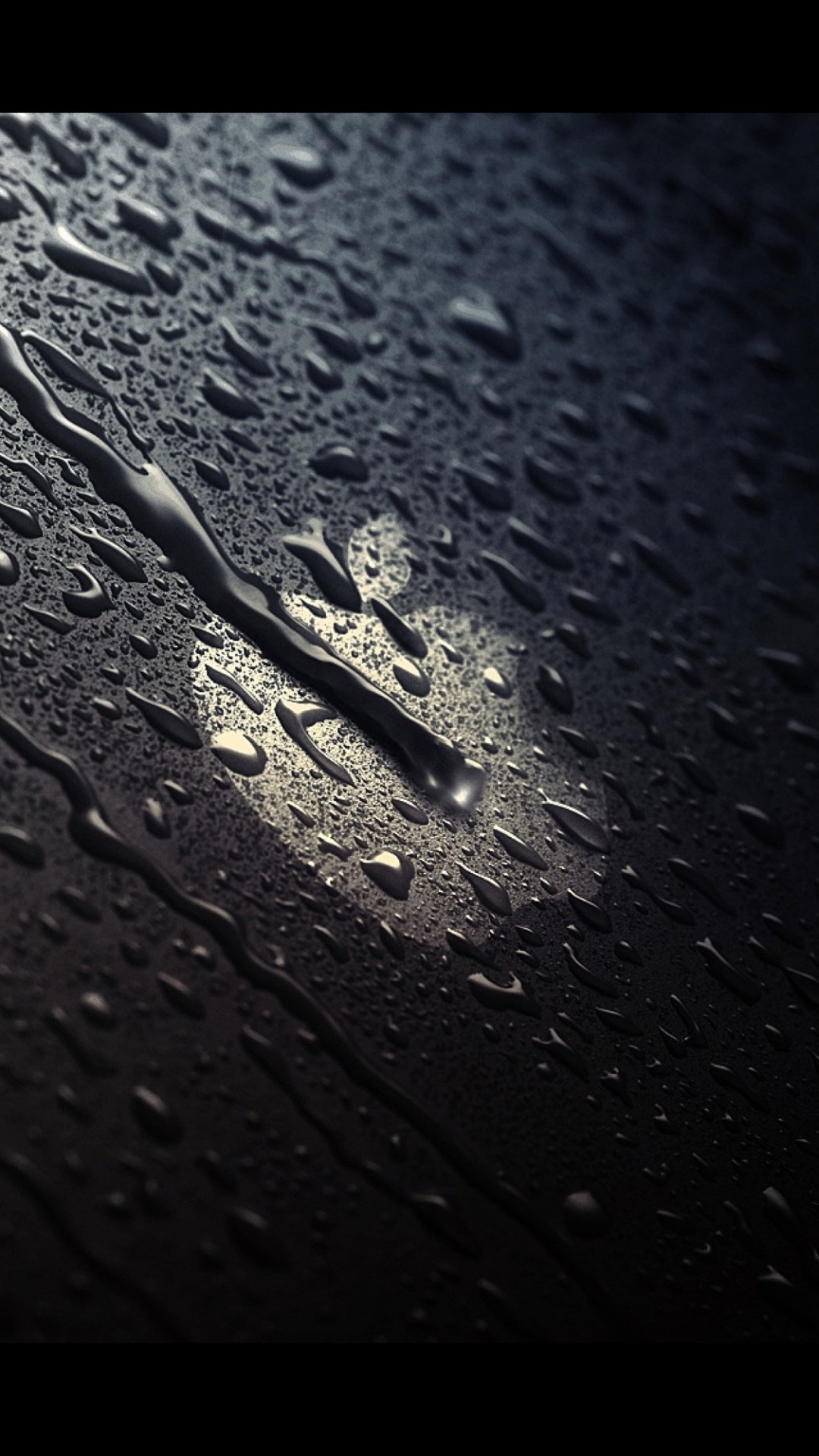 Apple, Black, Water, Leaf, Monochrome. Wallpaper in 1080x1920 Resolution