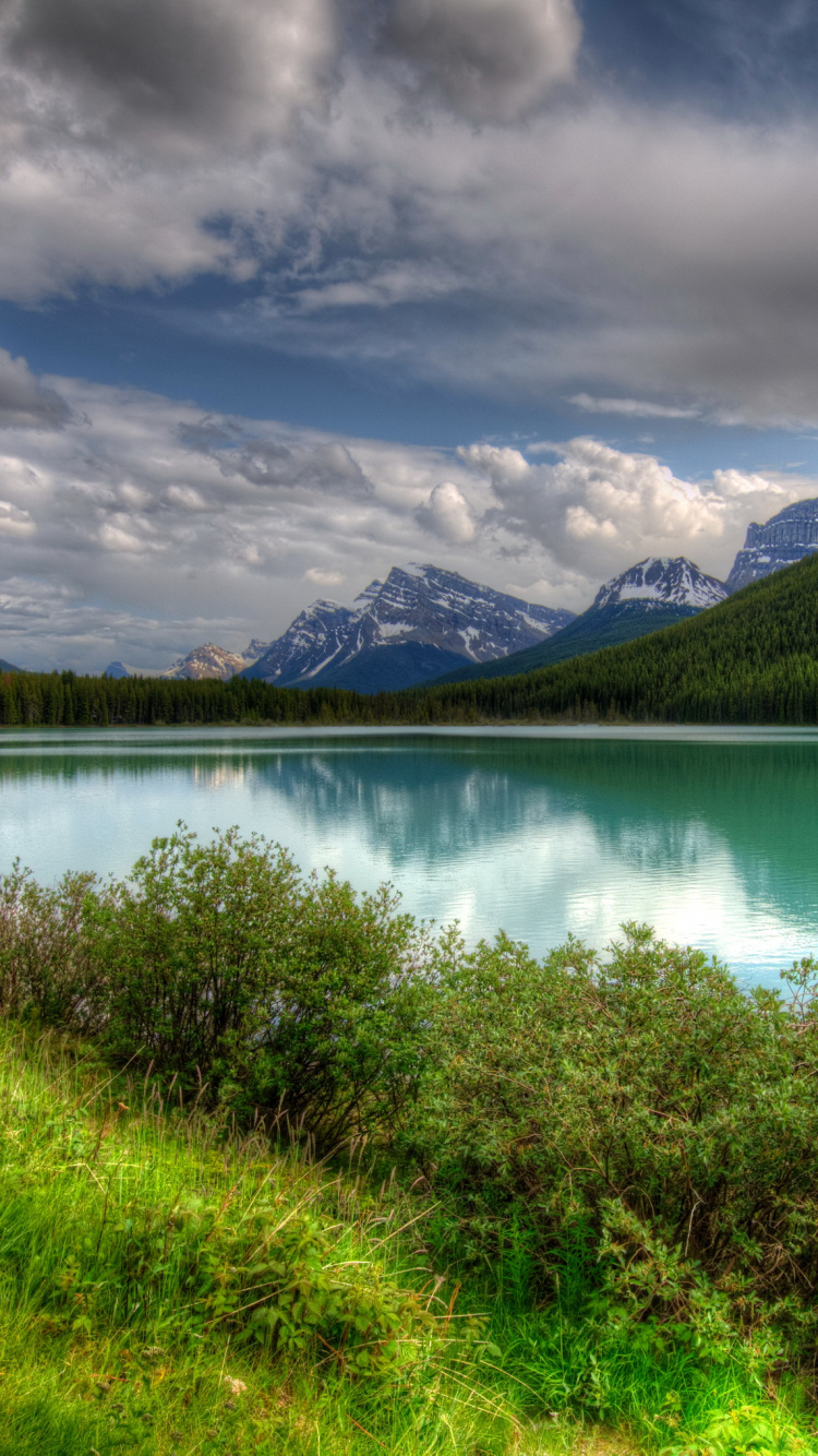 Grüne Wiese in Der Nähe Des Sees Unter Bewölktem Himmel Tagsüber. Wallpaper in 750x1334 Resolution