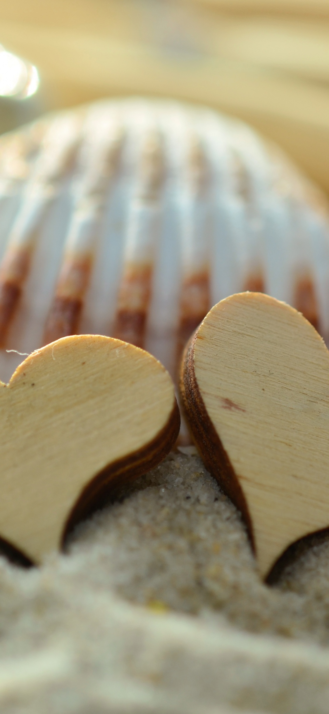 Sand, Cœur, Plage, Shell, Aliment. Wallpaper in 1125x2436 Resolution