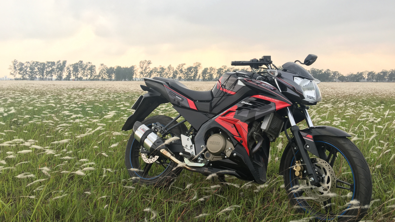 Black Motorcycle on Green Grass Field During Daytime. Wallpaper in 1366x768 Resolution