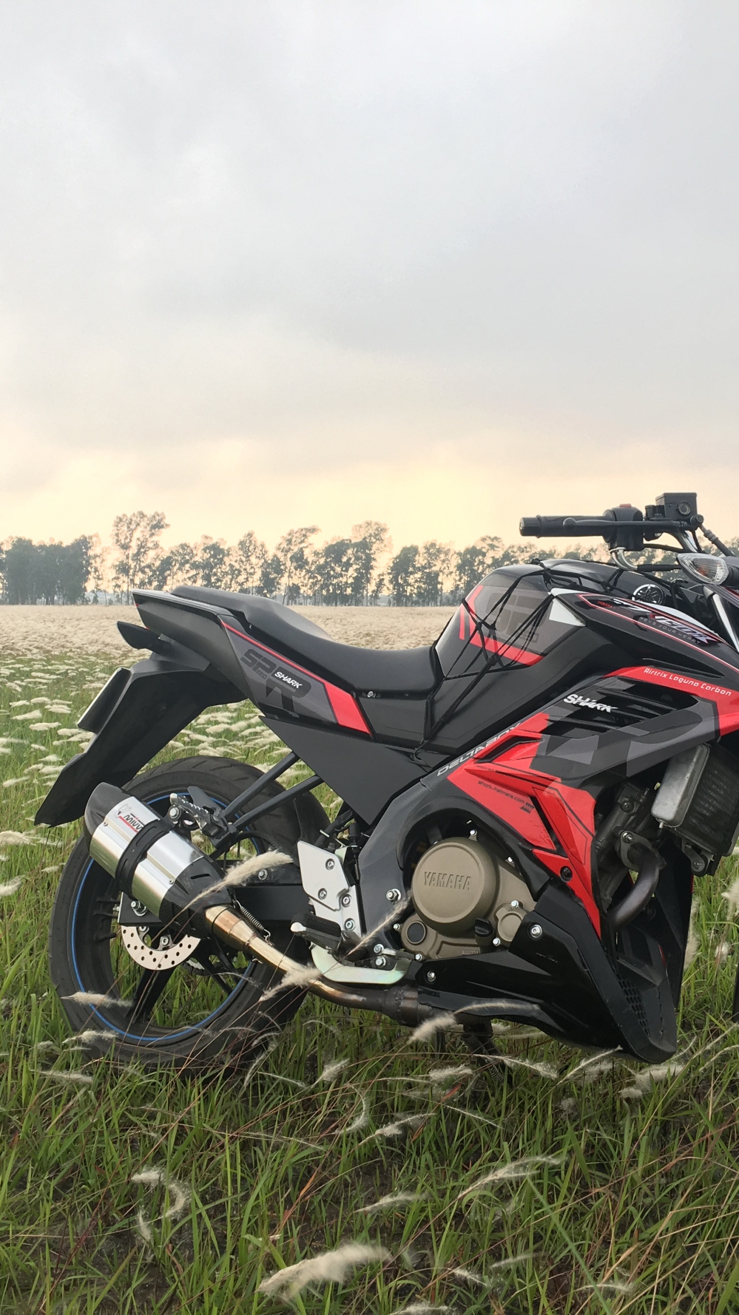 Black Motorcycle on Green Grass Field During Daytime. Wallpaper in 1440x2560 Resolution