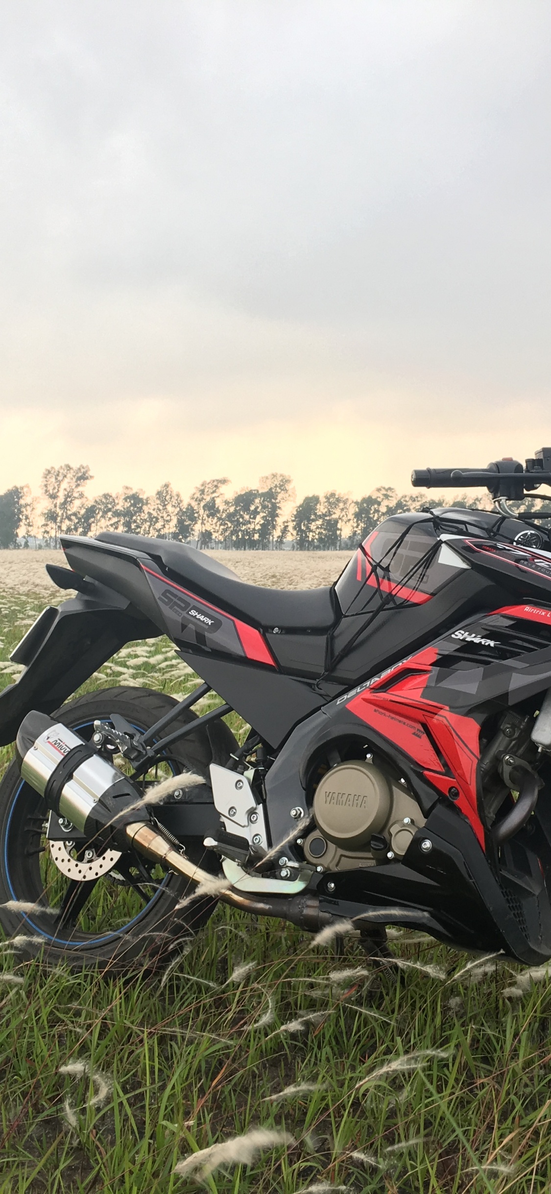 Motocicleta Negra en Campo de Hierba Verde Durante el Día. Wallpaper in 1125x2436 Resolution