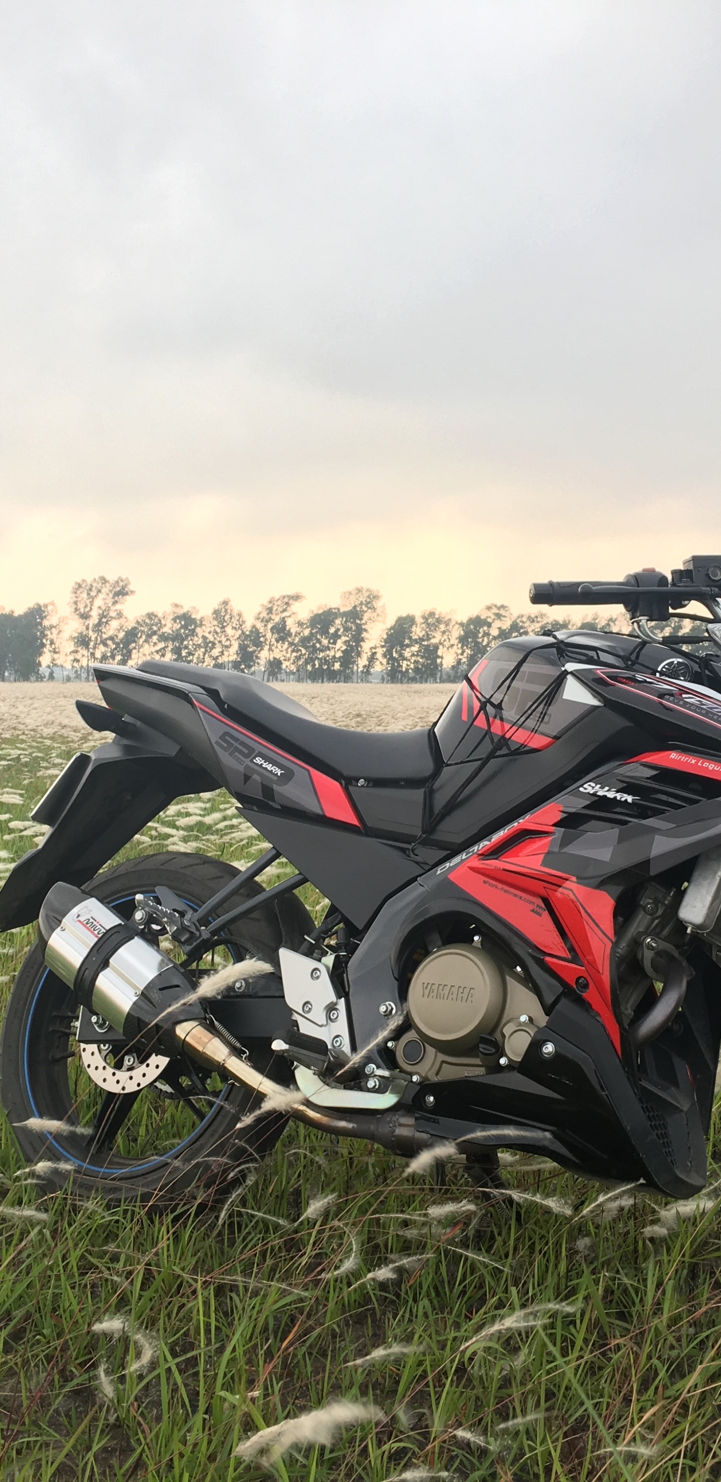 山脉, 冒险, 草, 汽车外, 巡洋舰 壁纸 1440x2960 允许