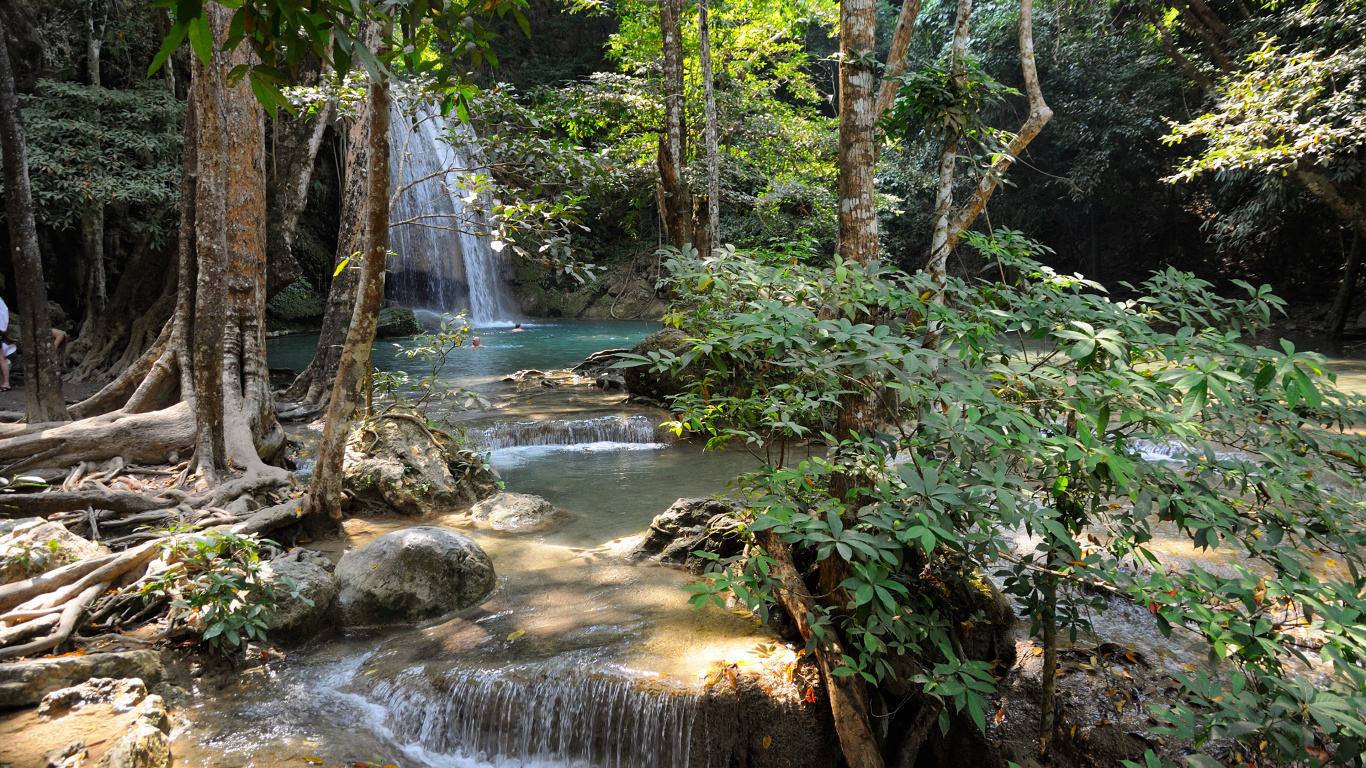 水道, 人体内的水, 水资源, 性质, 植被 壁纸 1366x768 允许