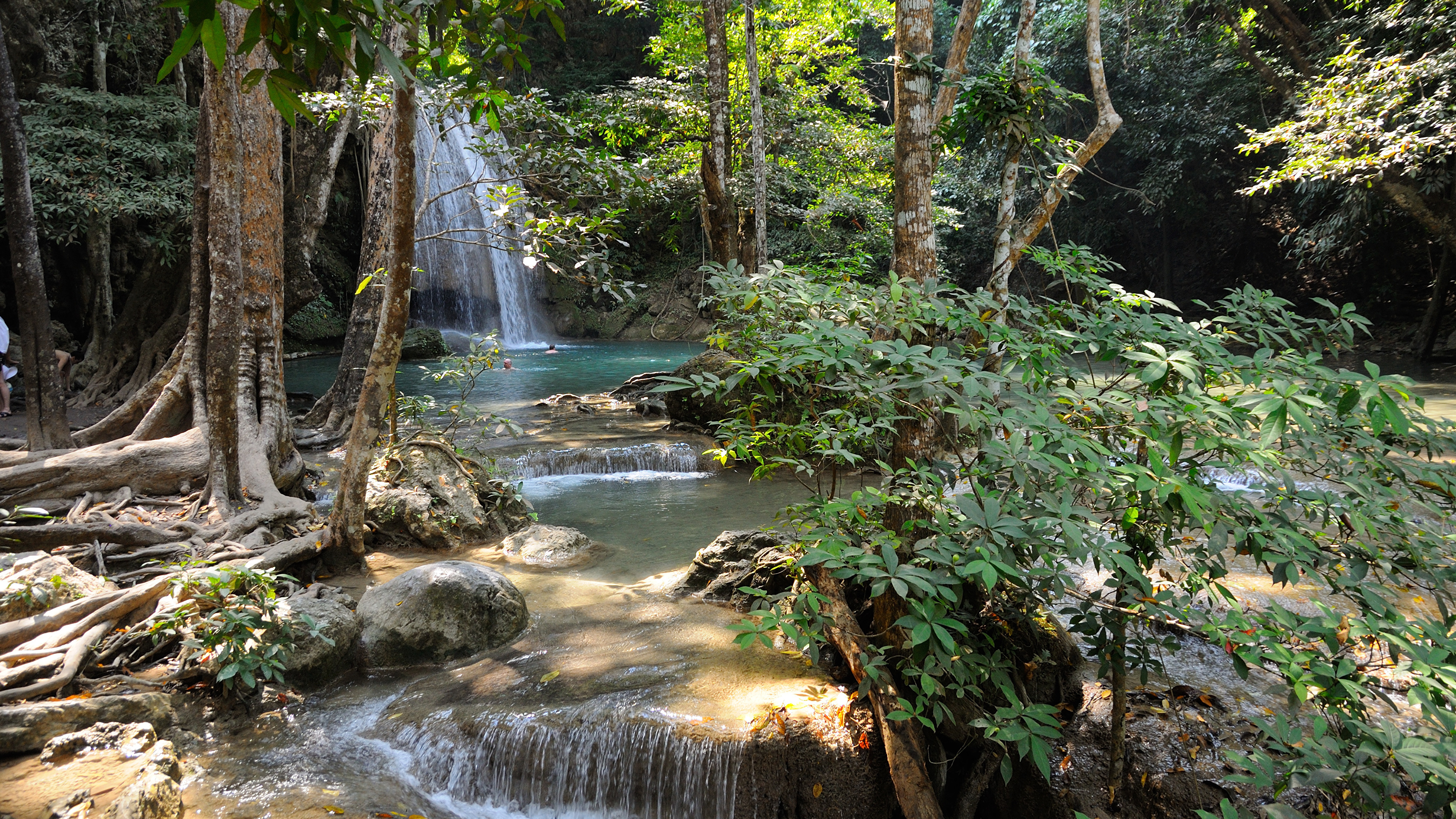 水道, 人体内的水, 水资源, 性质, 植被 壁纸 3840x2160 允许