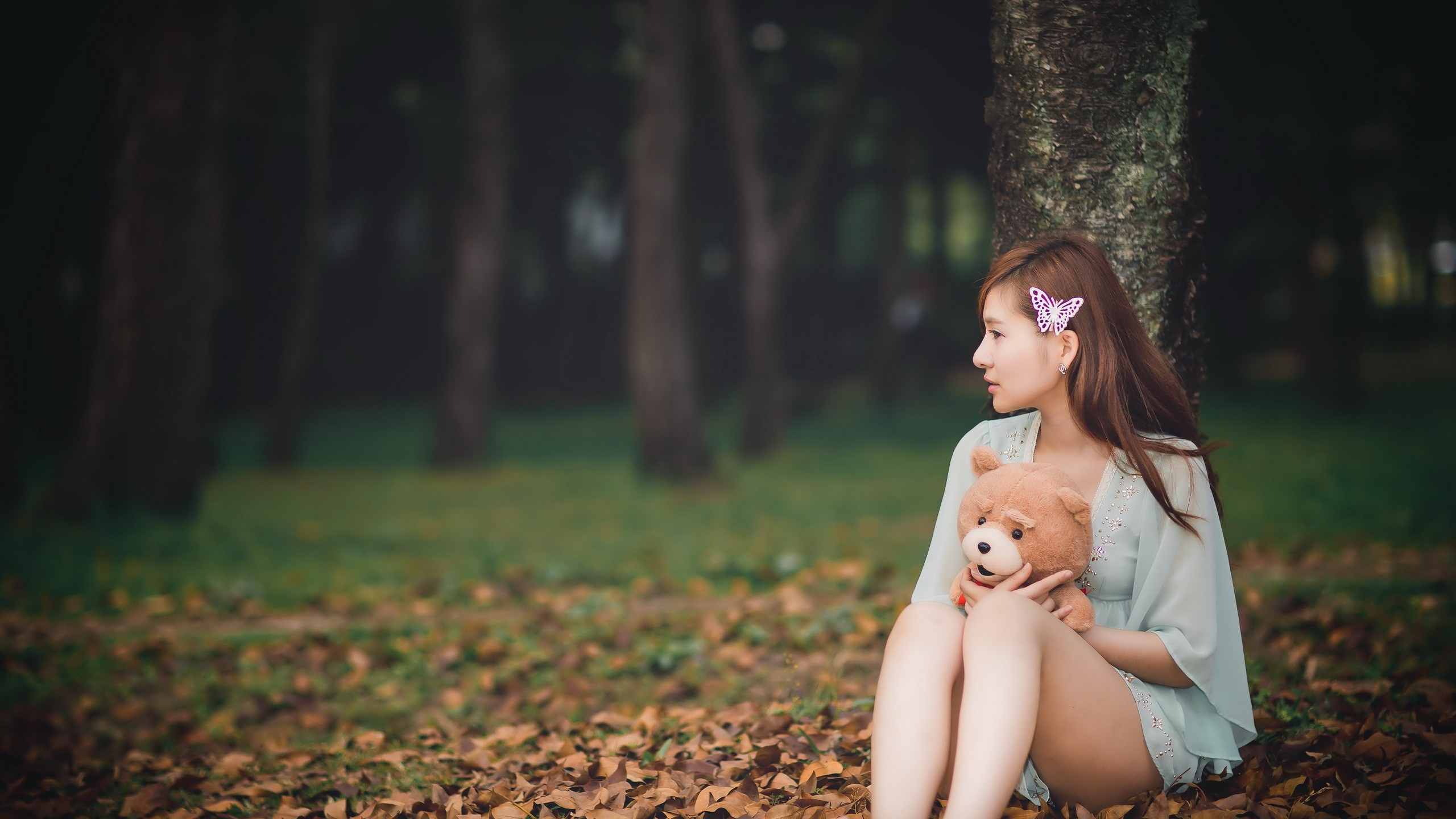 泰迪熊, 人们在自然界, 头发, 性质, 绿色的 壁纸 2560x1440 允许