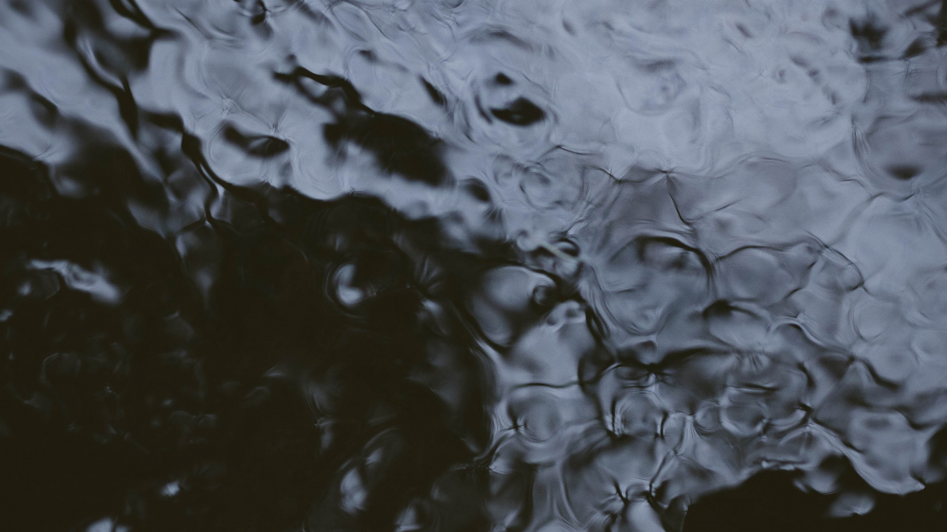 Wasser, Reflexion, Schwarz, Baum, Monochrom. Wallpaper in 1366x768 Resolution