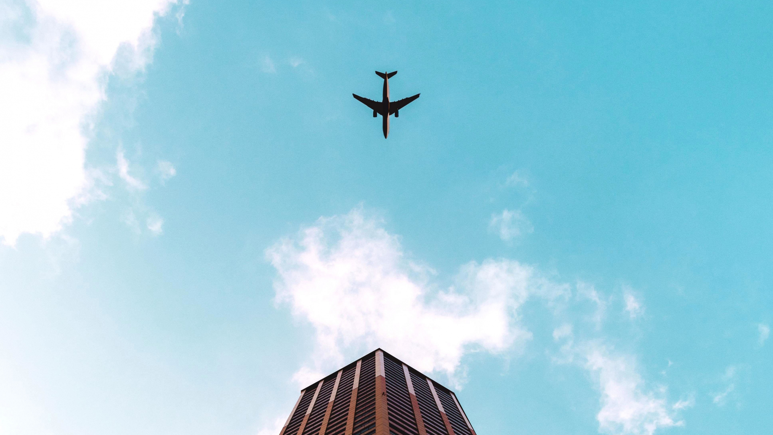 Airplane Flying Over The Building During Daytime. Wallpaper in 2560x1440 Resolution