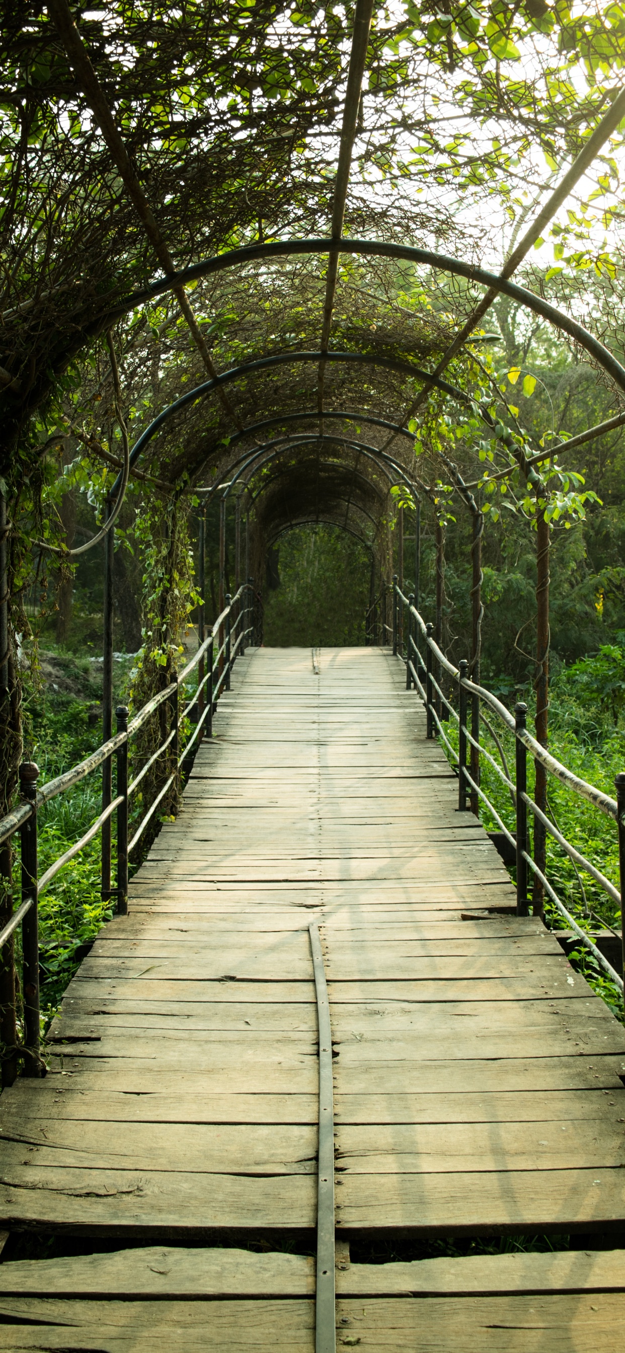 Braune Holzbrücke Mit Grünen Pflanzen. Wallpaper in 1242x2688 Resolution