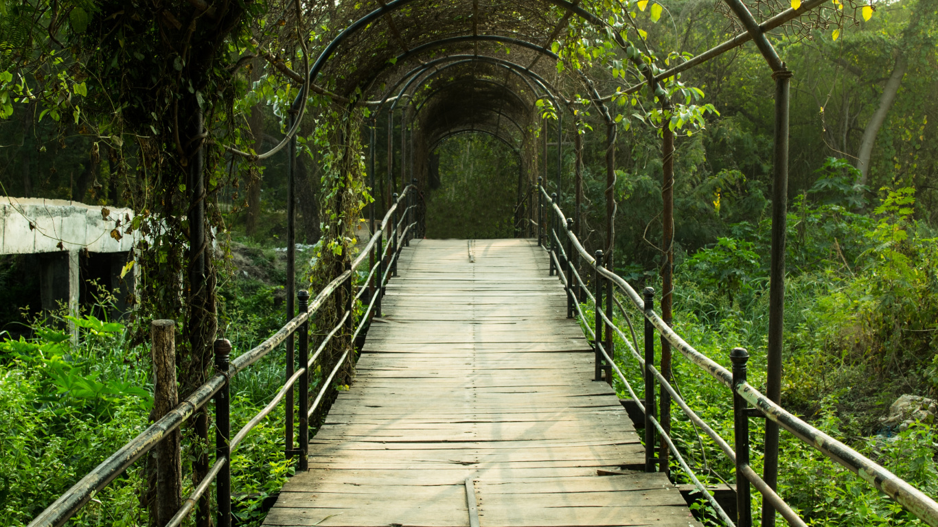Braune Holzbrücke Mit Grünen Pflanzen. Wallpaper in 1366x768 Resolution