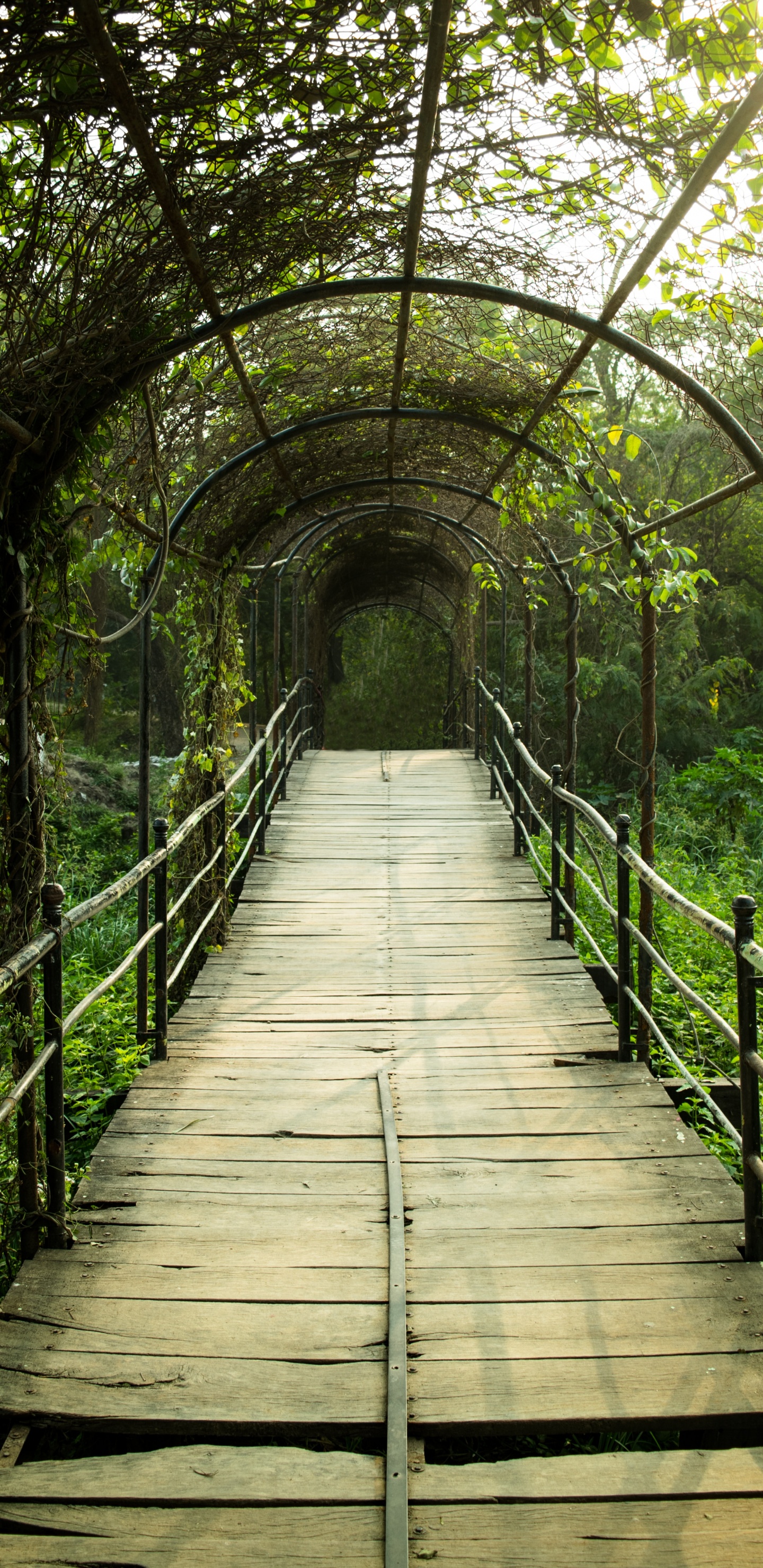 Braune Holzbrücke Mit Grünen Pflanzen. Wallpaper in 1440x2960 Resolution