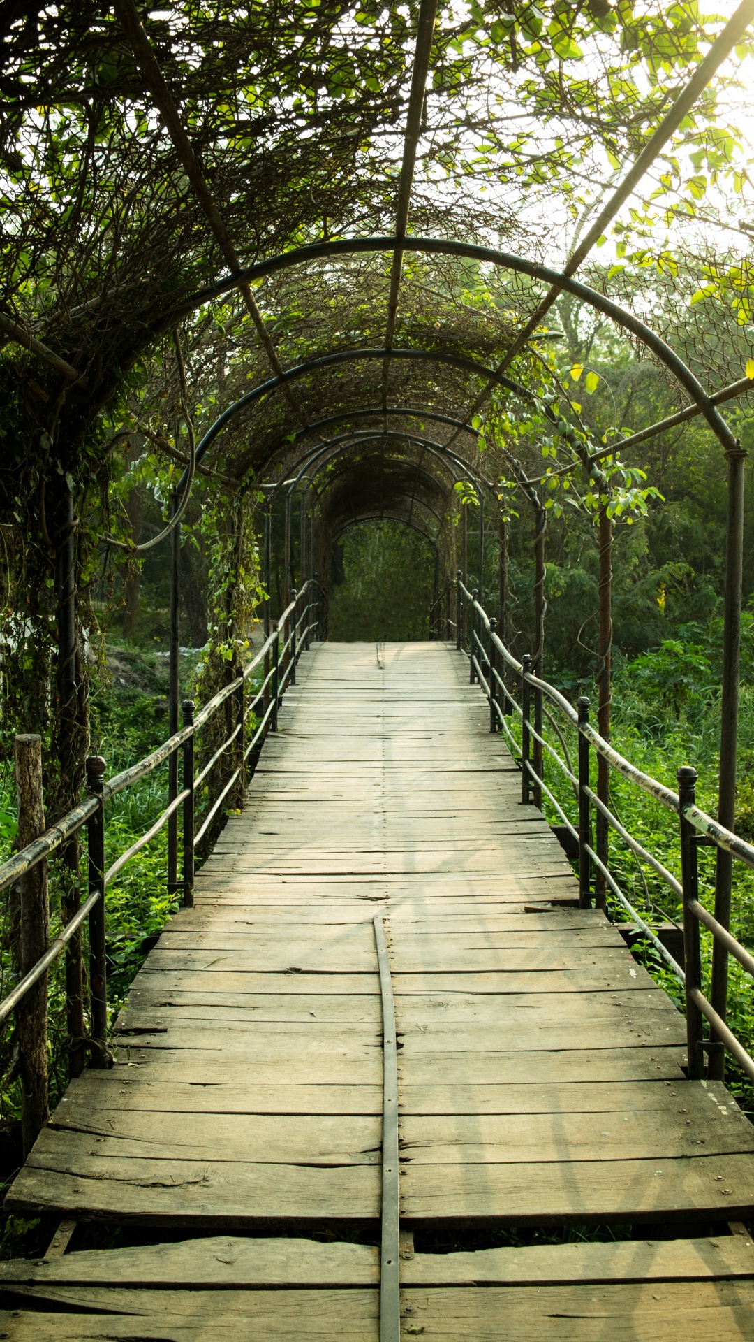 Brown Wooden Bridge With Green Plants. Wallpaper in 1080x1920 Resolution