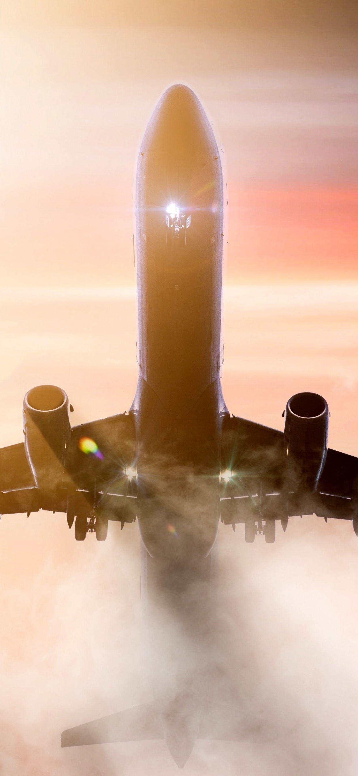 Avión Blanco en el Aire Durante el Día. Wallpaper in 1242x2688 Resolution