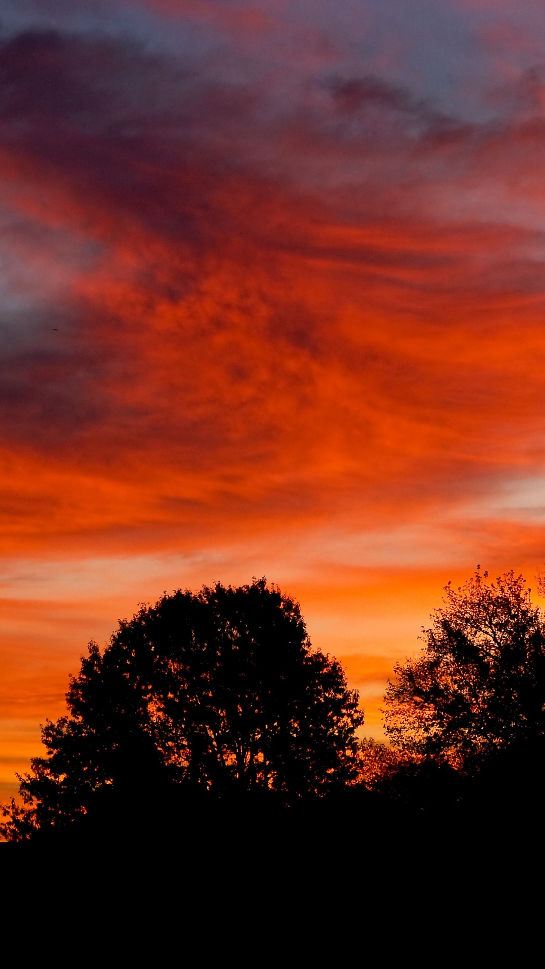 Afterglow, Nature, Lever, Soir, Red. Wallpaper in 1080x1920 Resolution