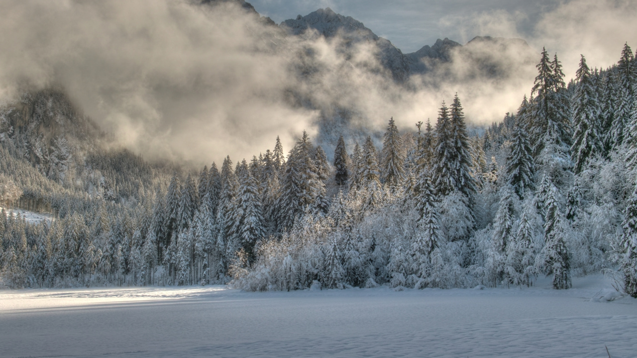 Green Trees Covered With Snow Near Body of Water During Daytime. Wallpaper in 1280x720 Resolution