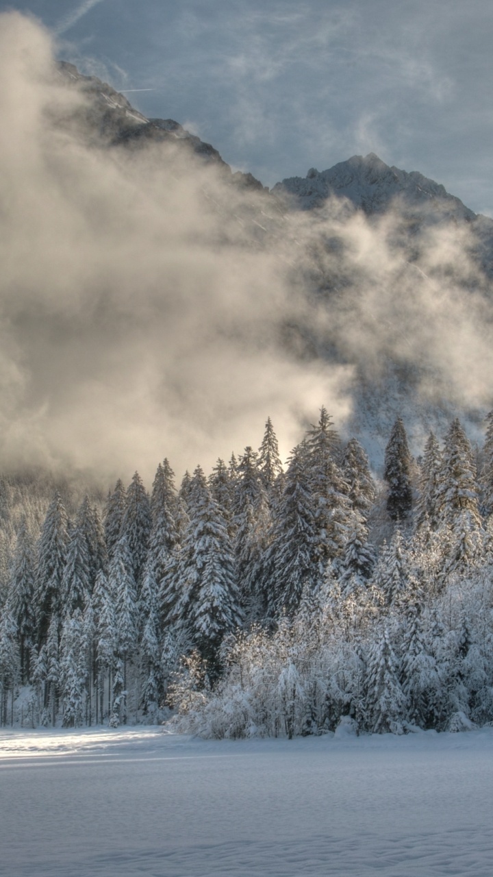 Green Trees Covered With Snow Near Body of Water During Daytime. Wallpaper in 720x1280 Resolution