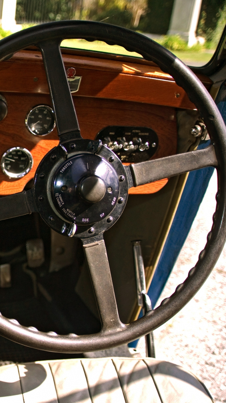 Volante Marrón y Negro. Wallpaper in 750x1334 Resolution