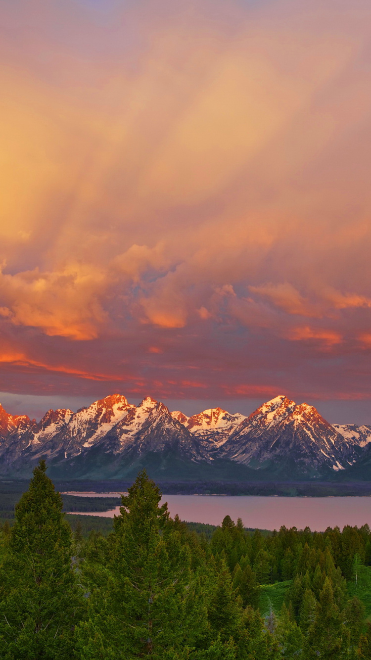 Grüne Bäume in Der Nähe Von Schneebedeckten Bergen Tagsüber During. Wallpaper in 750x1334 Resolution
