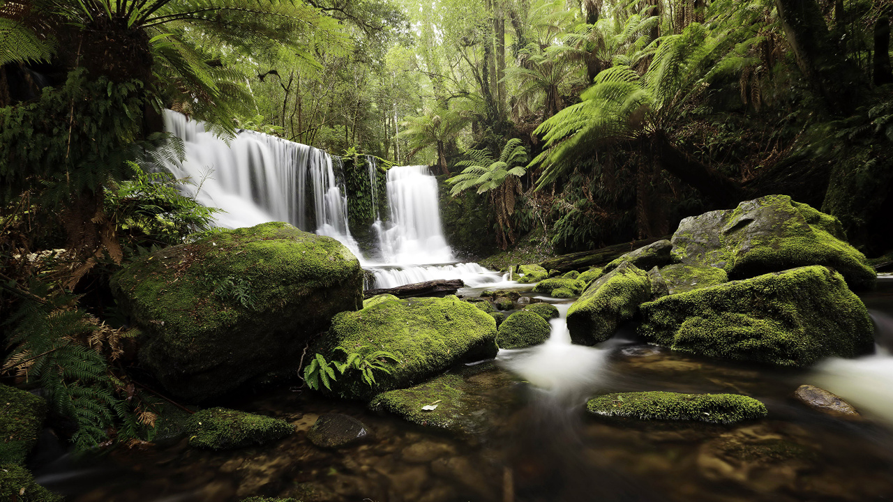 Wasser Fällt Mitten in Den Wald. Wallpaper in 1280x720 Resolution