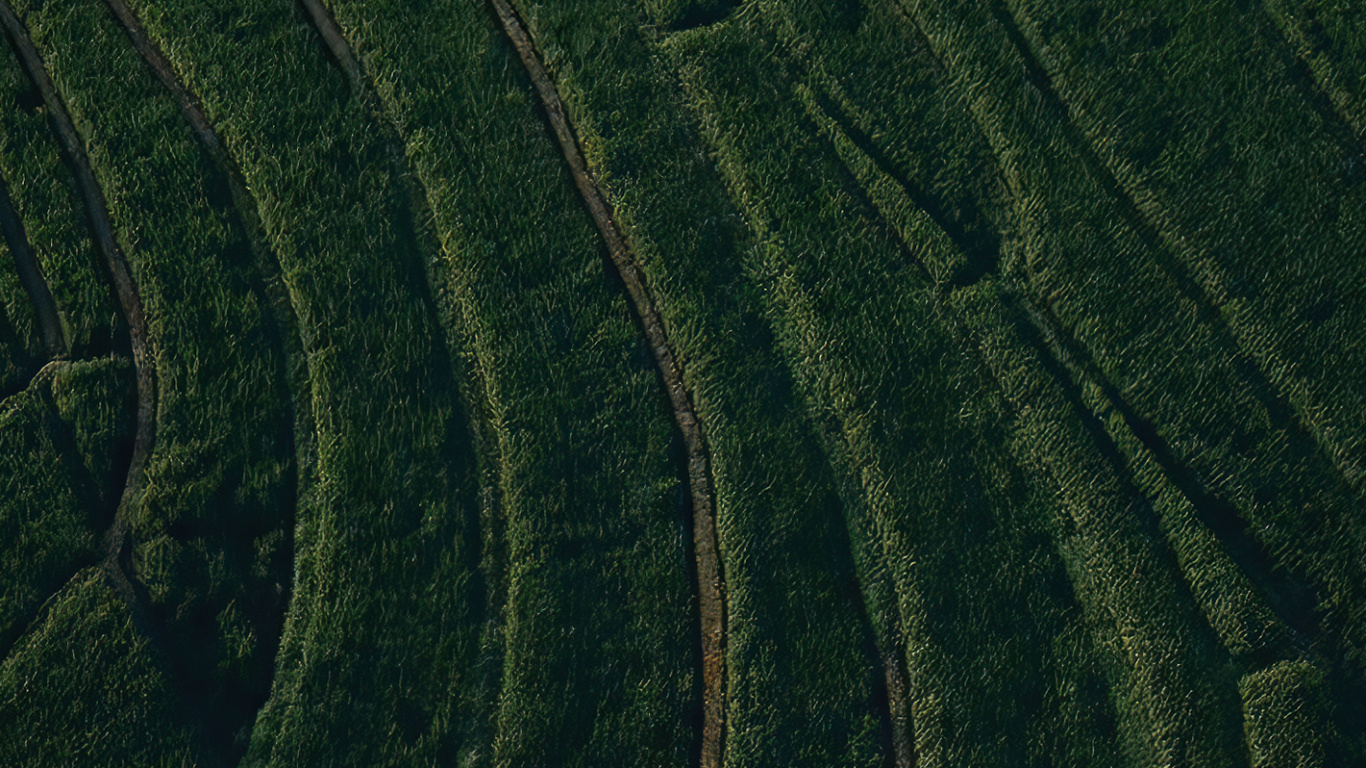 Champ, Pente, Les Terres Beaucoup, Highland, Agriculture. Wallpaper in 1366x768 Resolution