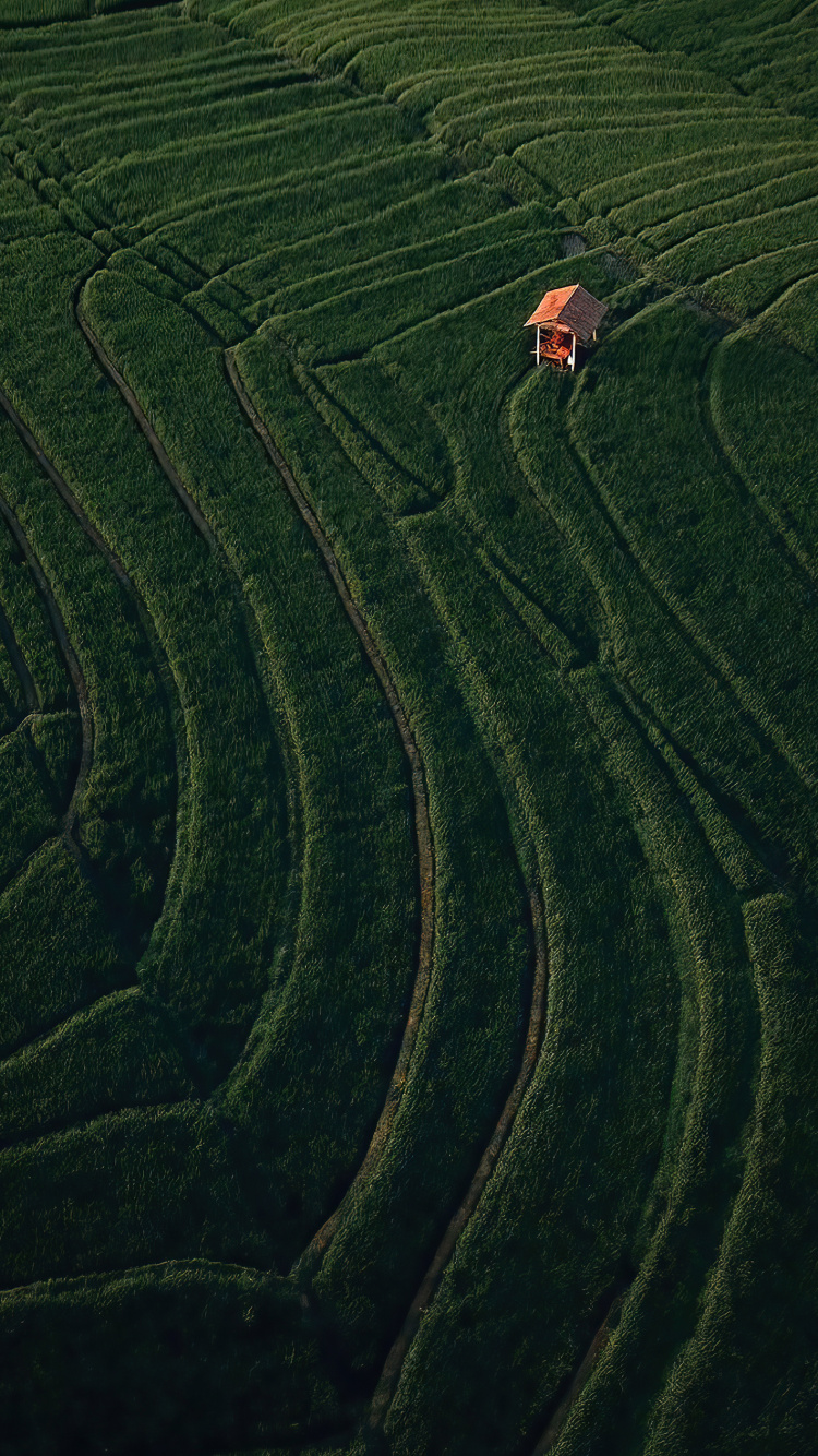 Champ, Pente, Les Terres Beaucoup, Highland, Agriculture. Wallpaper in 750x1334 Resolution