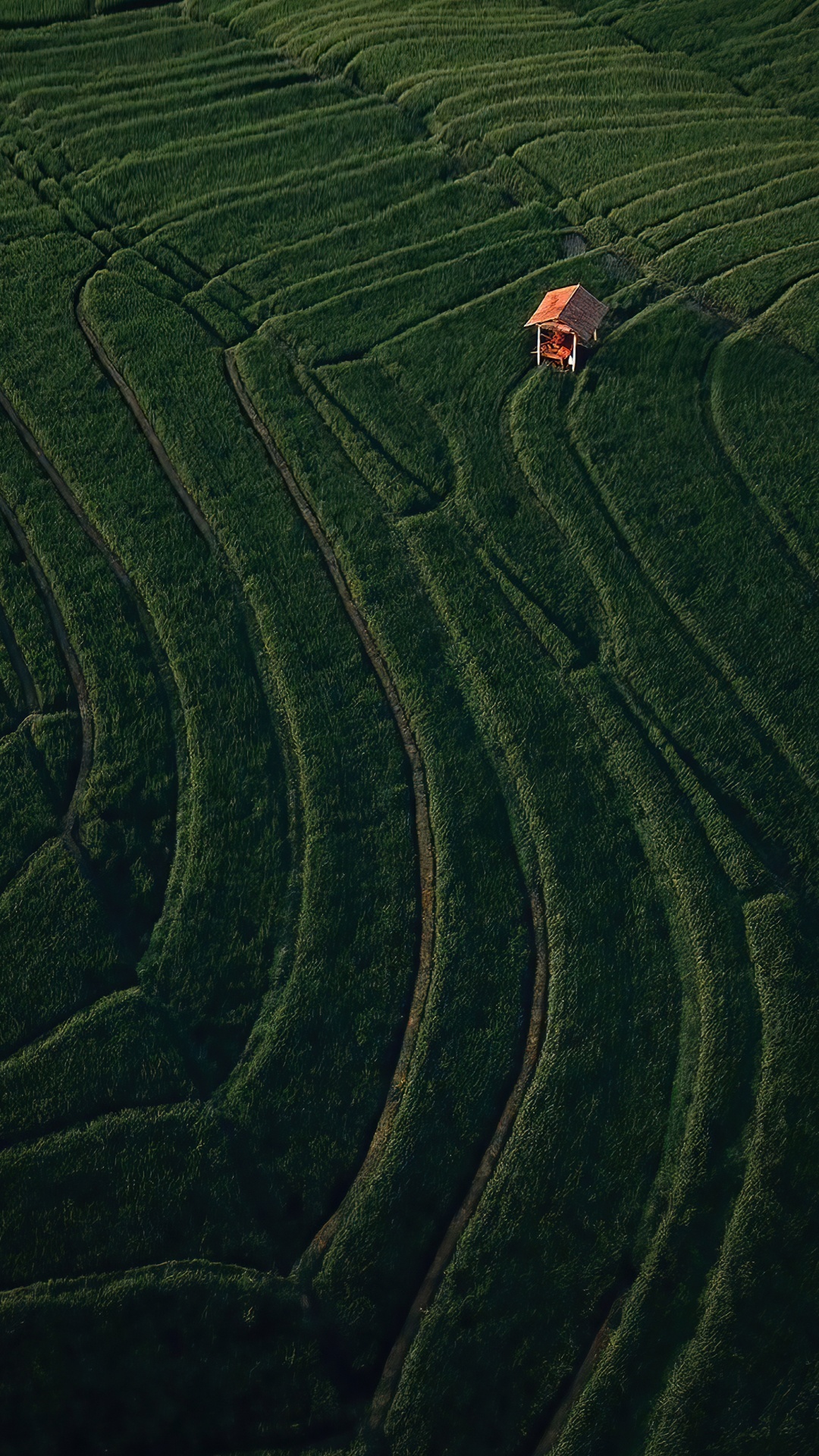 Feld, Piste, Grundstück, Hochland, Landwirtschaft. Wallpaper in 1080x1920 Resolution