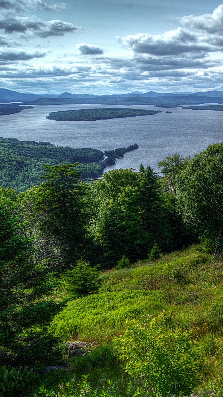 Green Trees Near Body of Water Under Cloudy Sky During Daytime. Wallpaper in 720x1280 Resolution