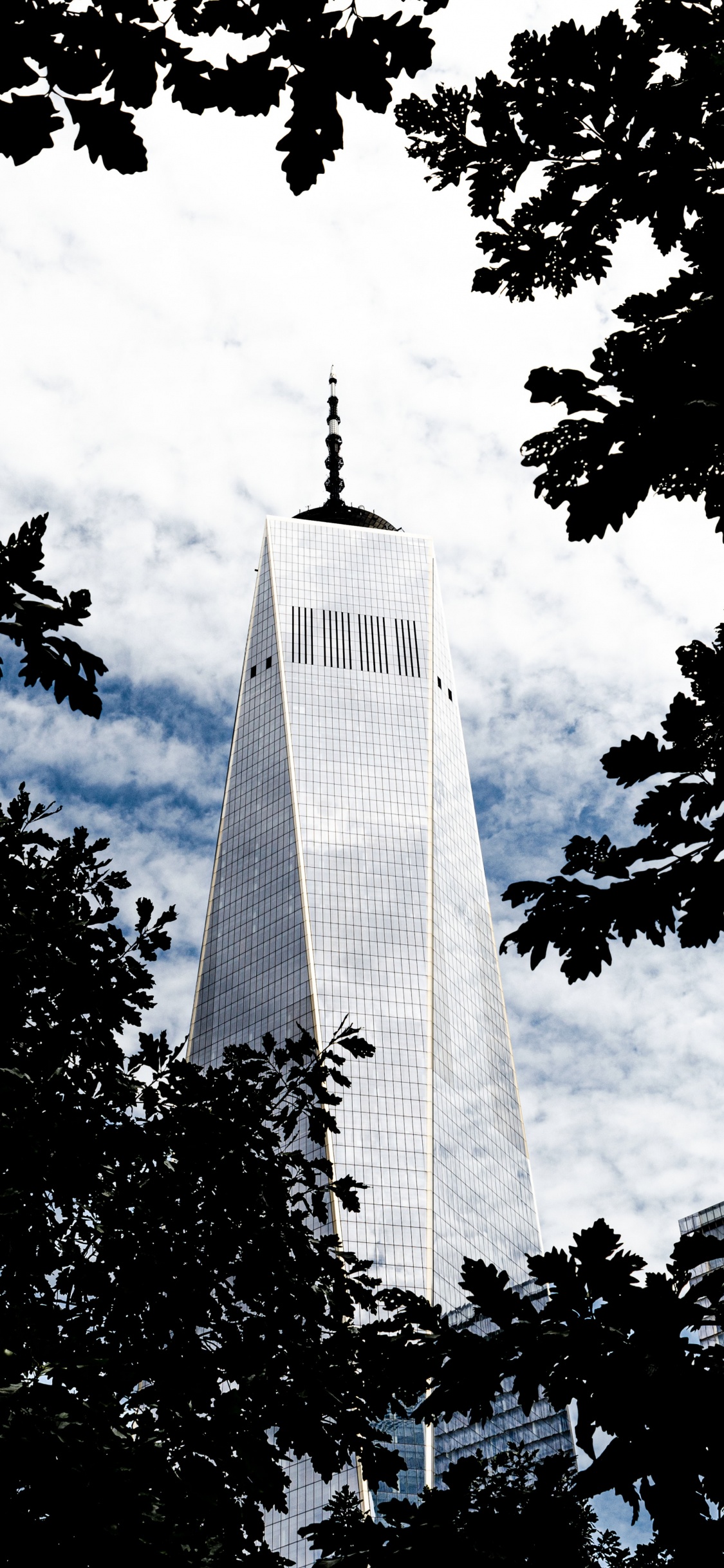 Grayscale Photo of High Rise Building. Wallpaper in 1125x2436 Resolution