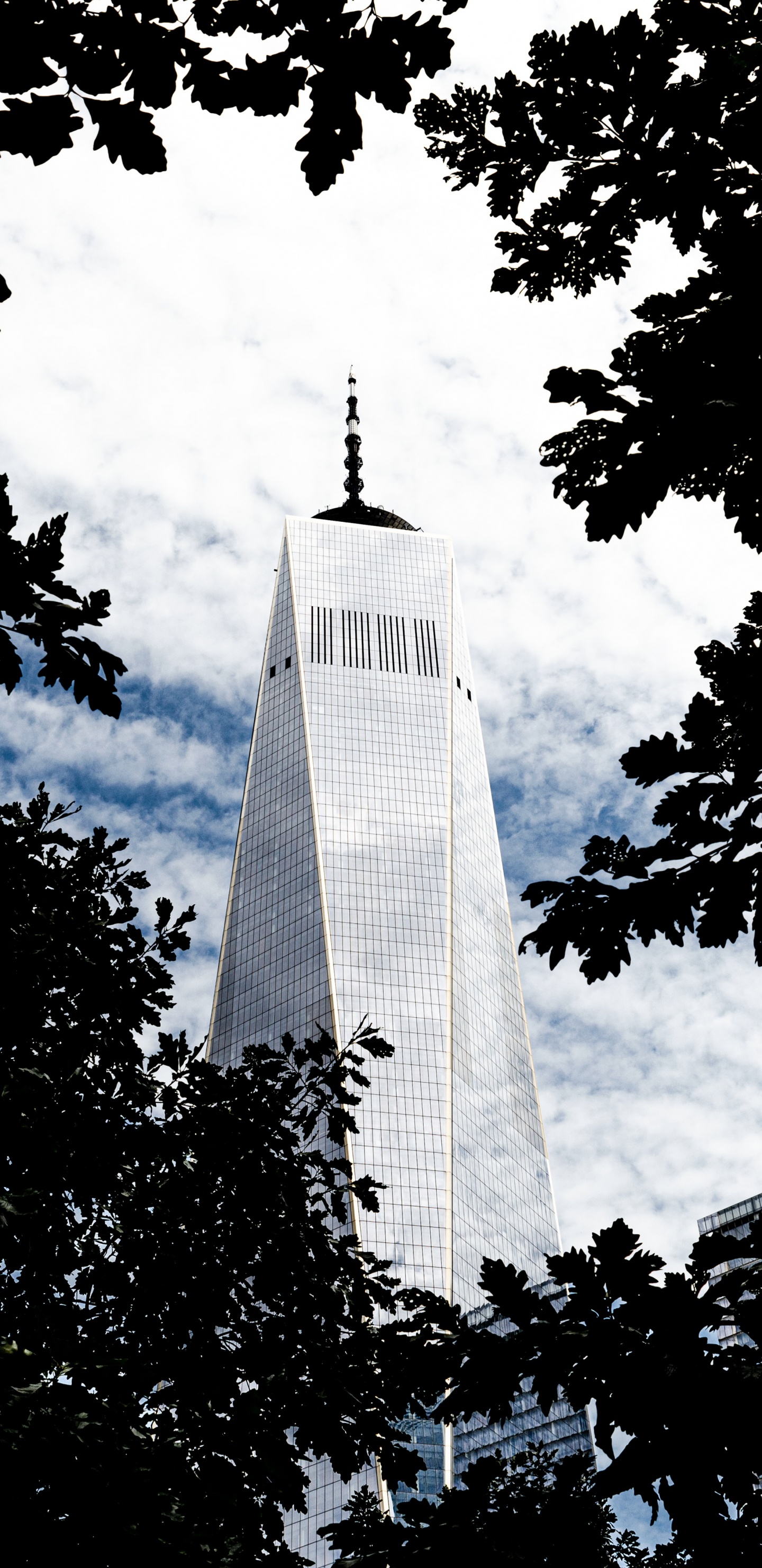 Grayscale Photo of High Rise Building. Wallpaper in 1440x2960 Resolution