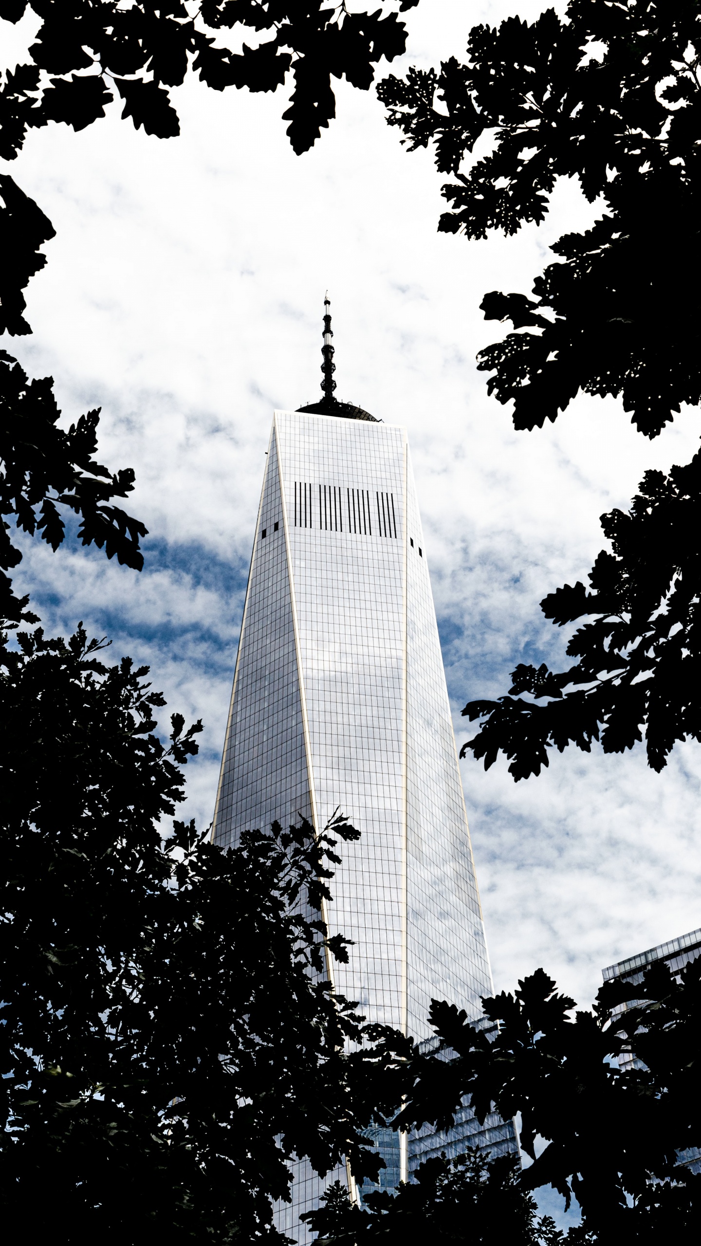 Foto en Escala de Grises de un Edificio de Gran Altura. Wallpaper in 1440x2560 Resolution