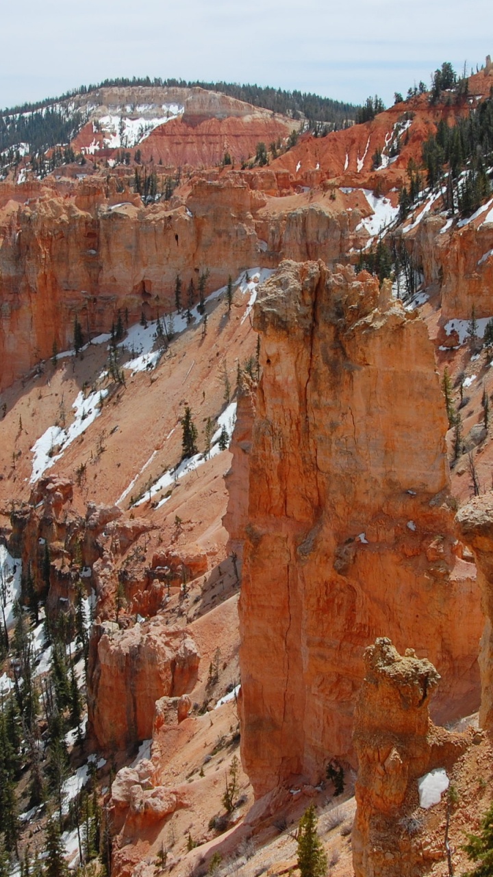 Brown Rocky Mountain With Green Trees During Daytime. Wallpaper in 720x1280 Resolution