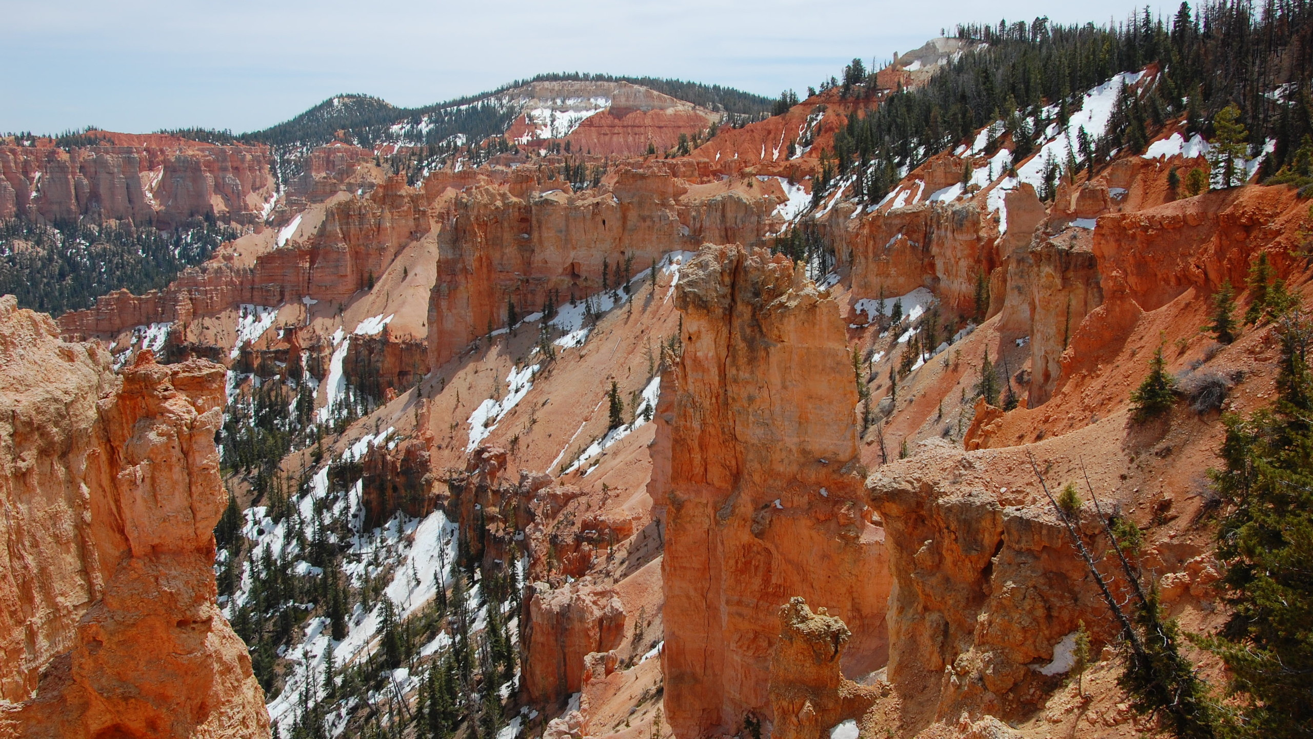 Montagne Rocheuse Brune Avec Des Arbres Verts Pendant la Journée. Wallpaper in 2560x1440 Resolution