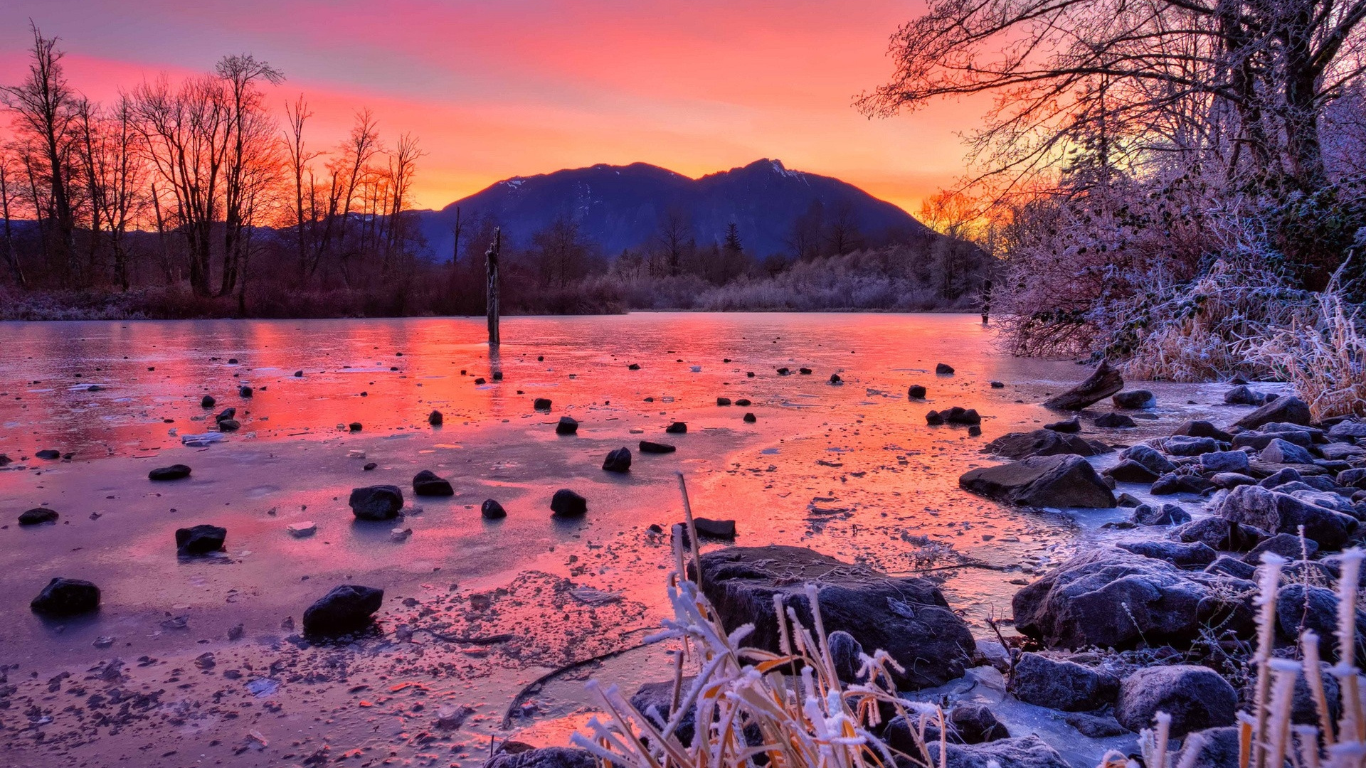 Registro de Árbol Marrón en el Cuerpo de Agua Durante el Día. Wallpaper in 1920x1080 Resolution