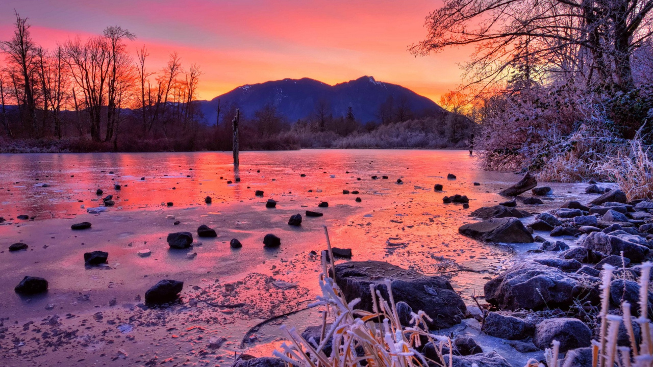 Brown Tree Log on Body of Water During Daytime. Wallpaper in 1280x720 Resolution