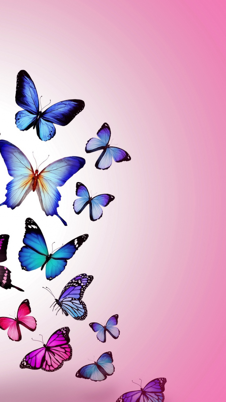 Purple and White Flower Petals. Wallpaper in 750x1334 Resolution