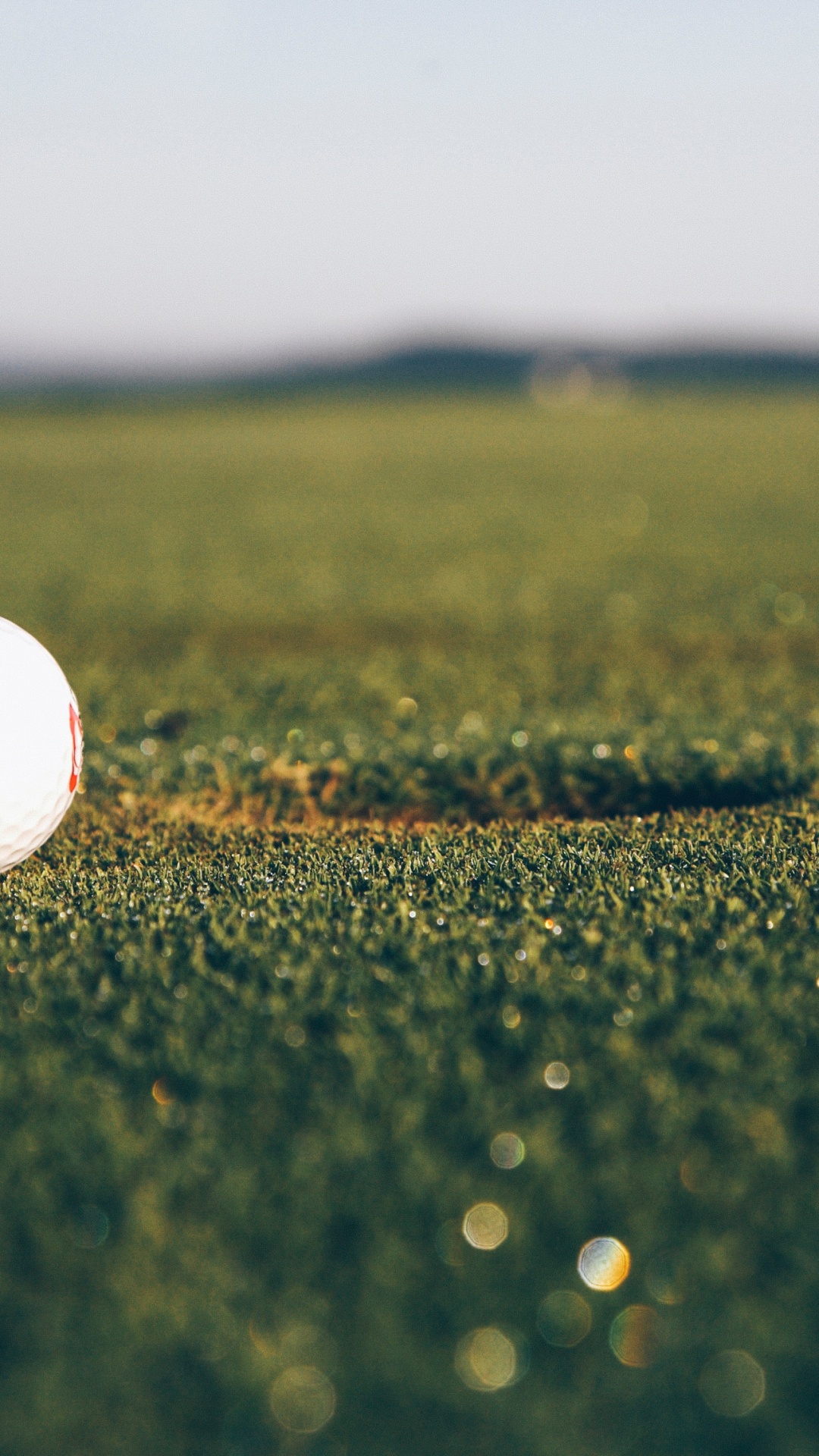 Balle de Golf Blanche Sur Terrain D'herbe Verte Pendant la Journée. Wallpaper in 1080x1920 Resolution