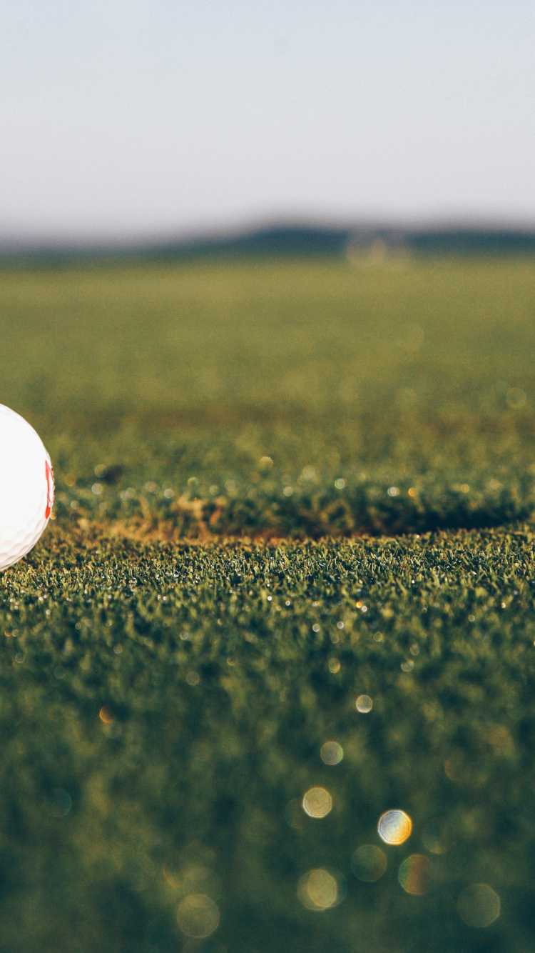 White Golf Ball on Green Grass Field During Daytime. Wallpaper in 750x1334 Resolution