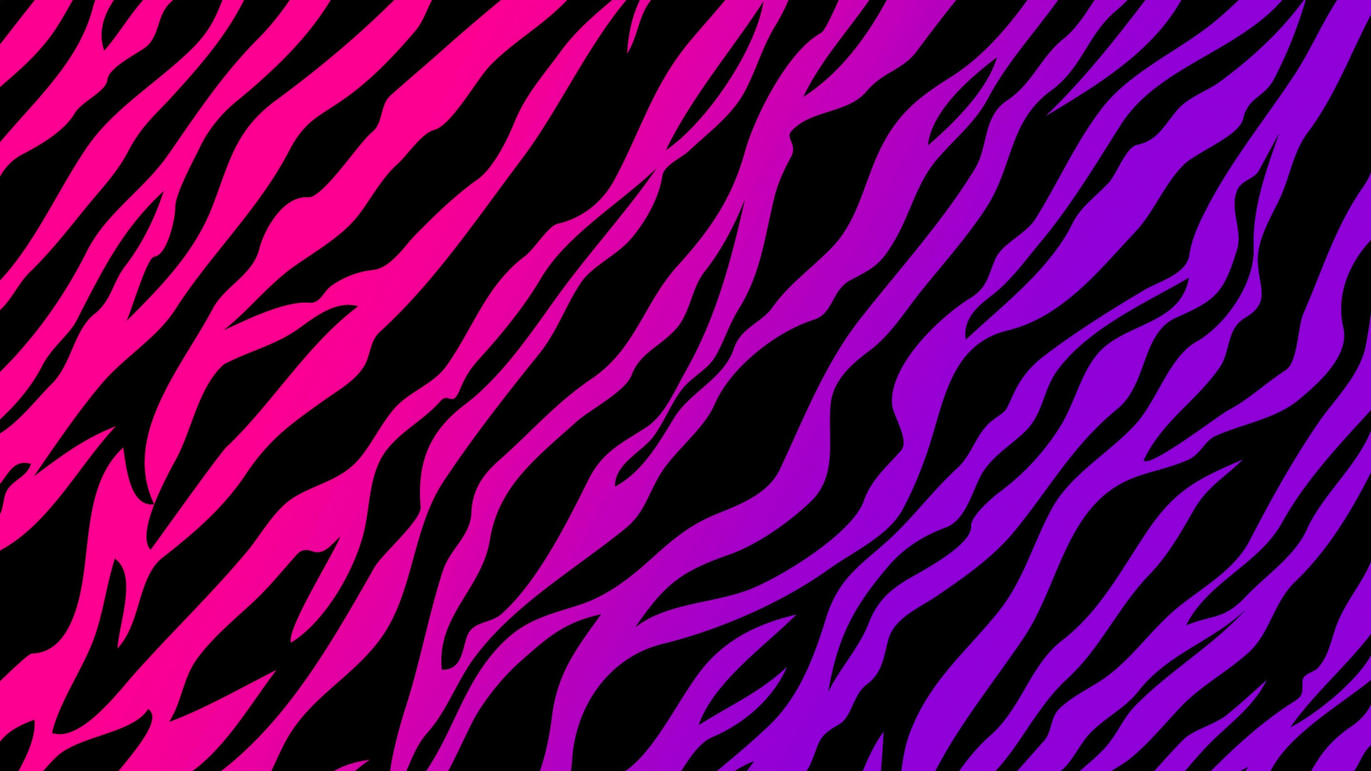 猎豹, 动物印, 斑马, 紫色的, 品红色 壁纸 1920x1080 允许