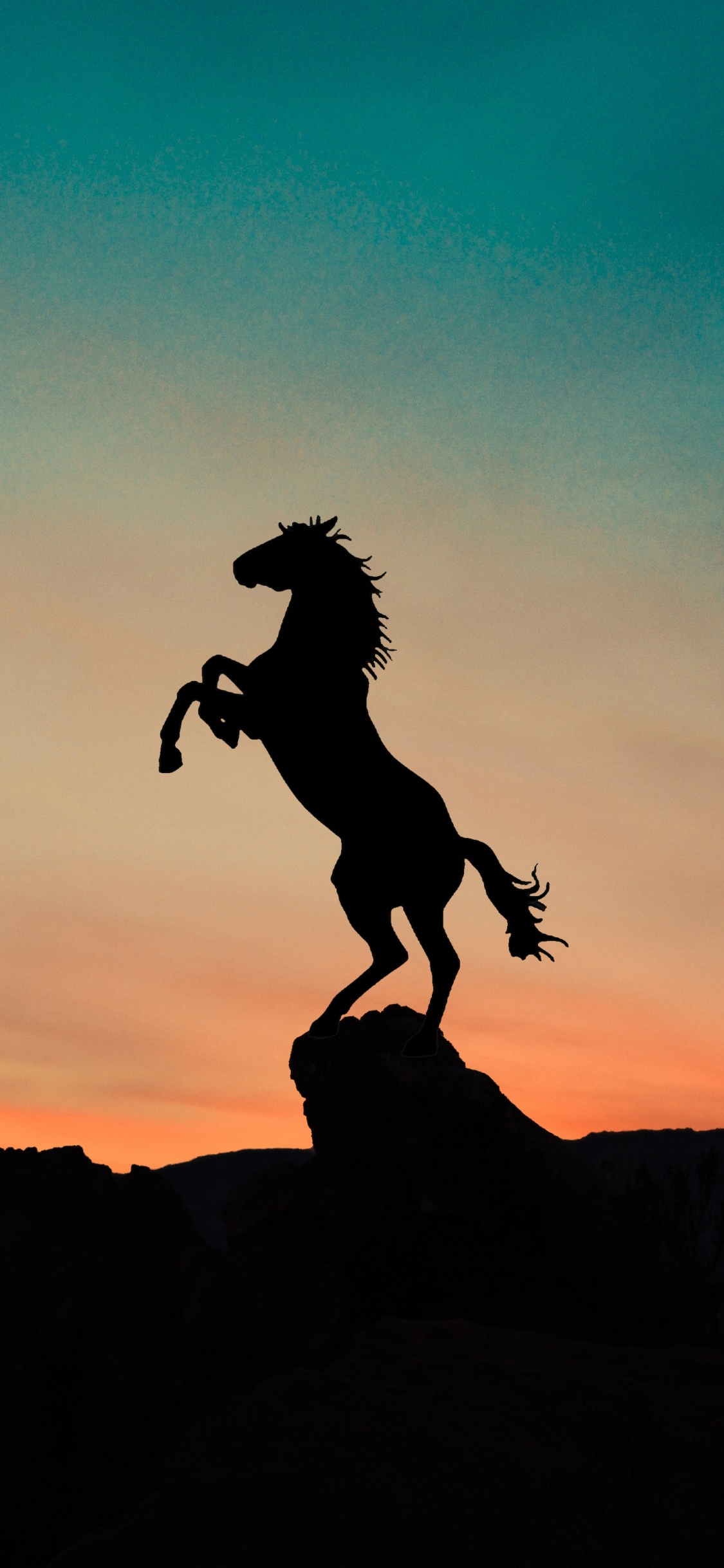 Horse, Cloud, Afterglow, People in Nature, Dusk. Wallpaper in 1125x2436 Resolution